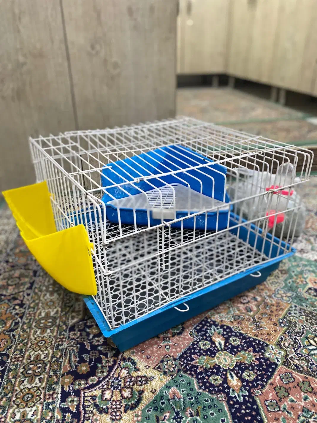 قفس خرگوش|لوازم جانبی حیوانات|پاکدشت, پاکدشت (مامازند)|دیوار