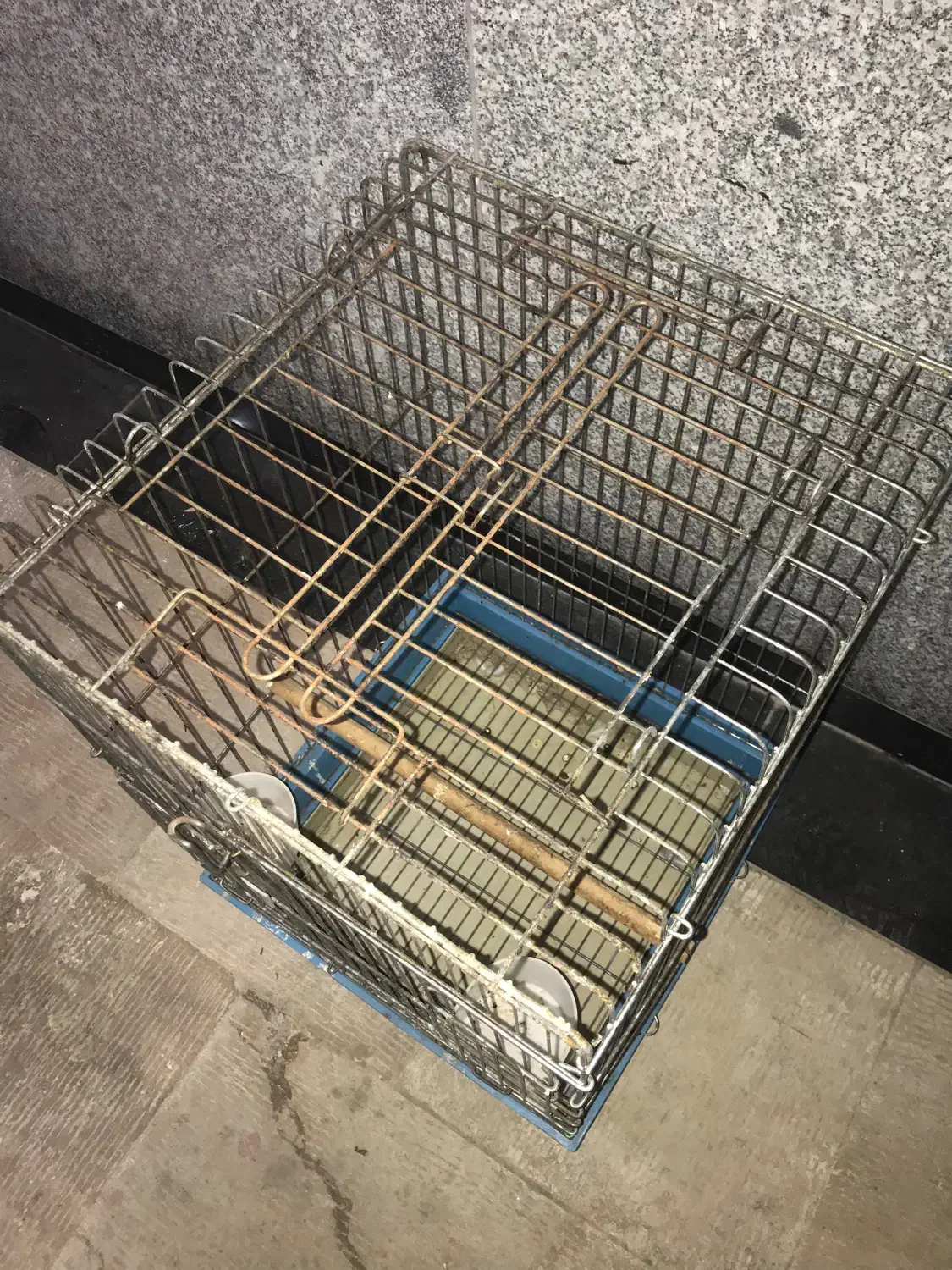 قفس پرنده .عروس هلندی.قناری|پرنده|اردبیل, |دیوار