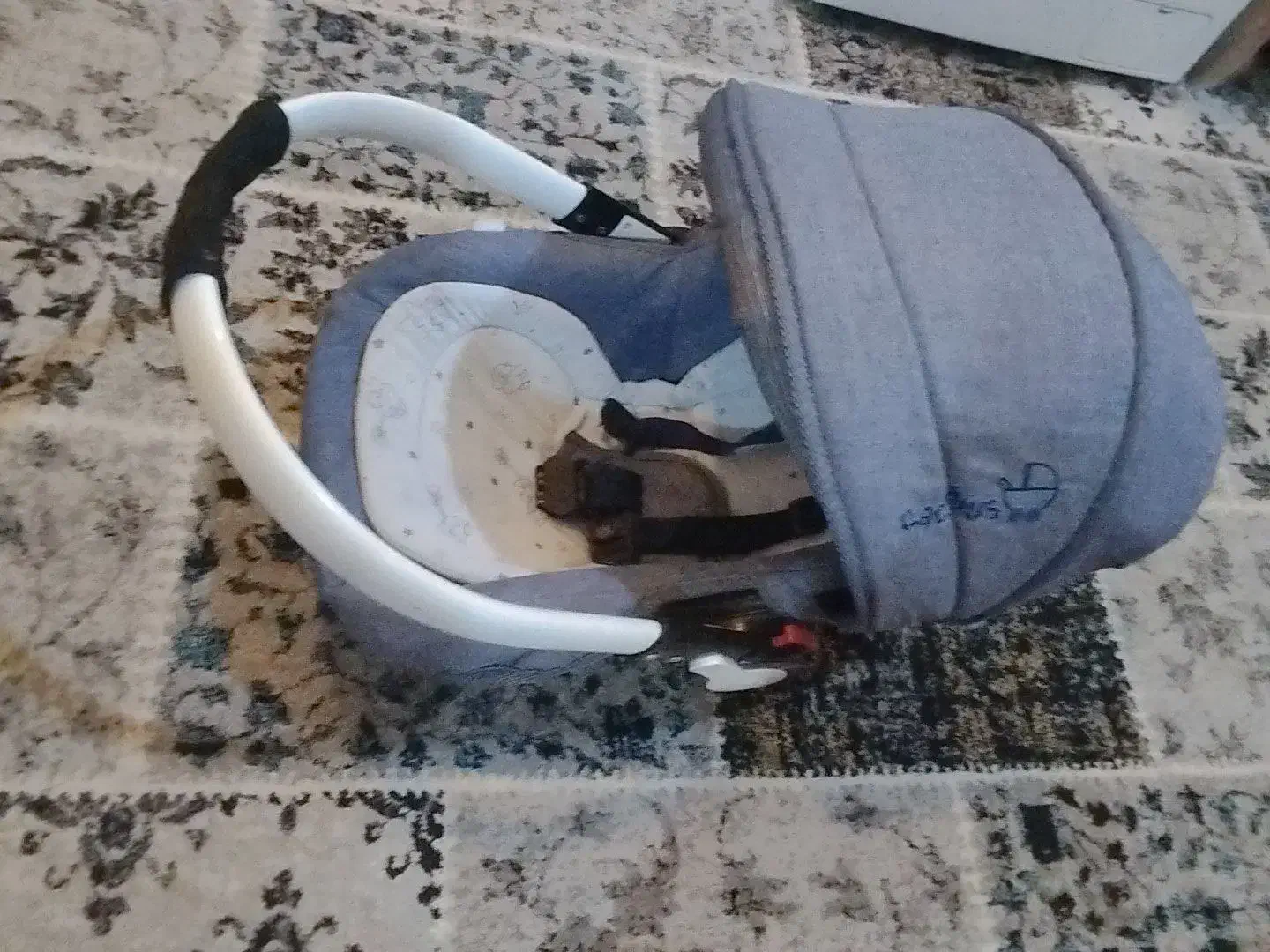 کریر|کالسکه و لوازم جانبی|هریس, |دیوار