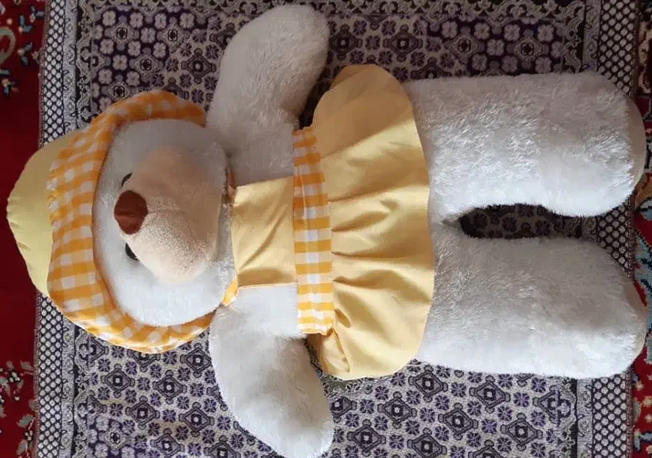 عروسک خرسی بزرگ|اسباب‌بازی بچه|گنبد کاووس, |دیوار