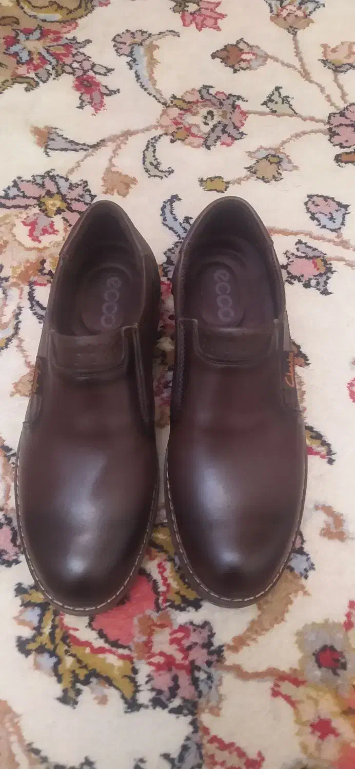 کفش مجلسی و کفش اسپرت|کیف، کفش، کمربند|کرمانشاه, |دیوار