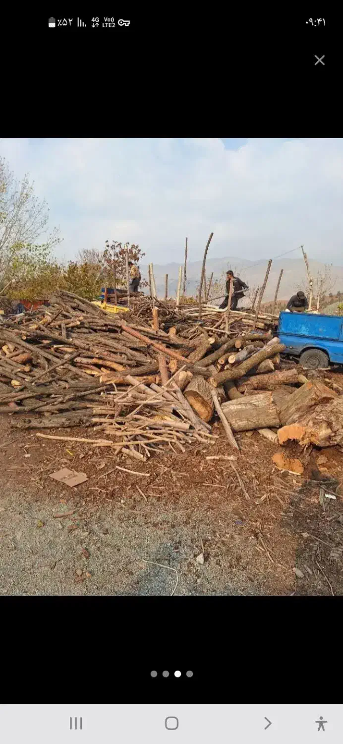 خریدار چوب|خدمات باغبانی و درختکاری|خرم‌آباد, |دیوار