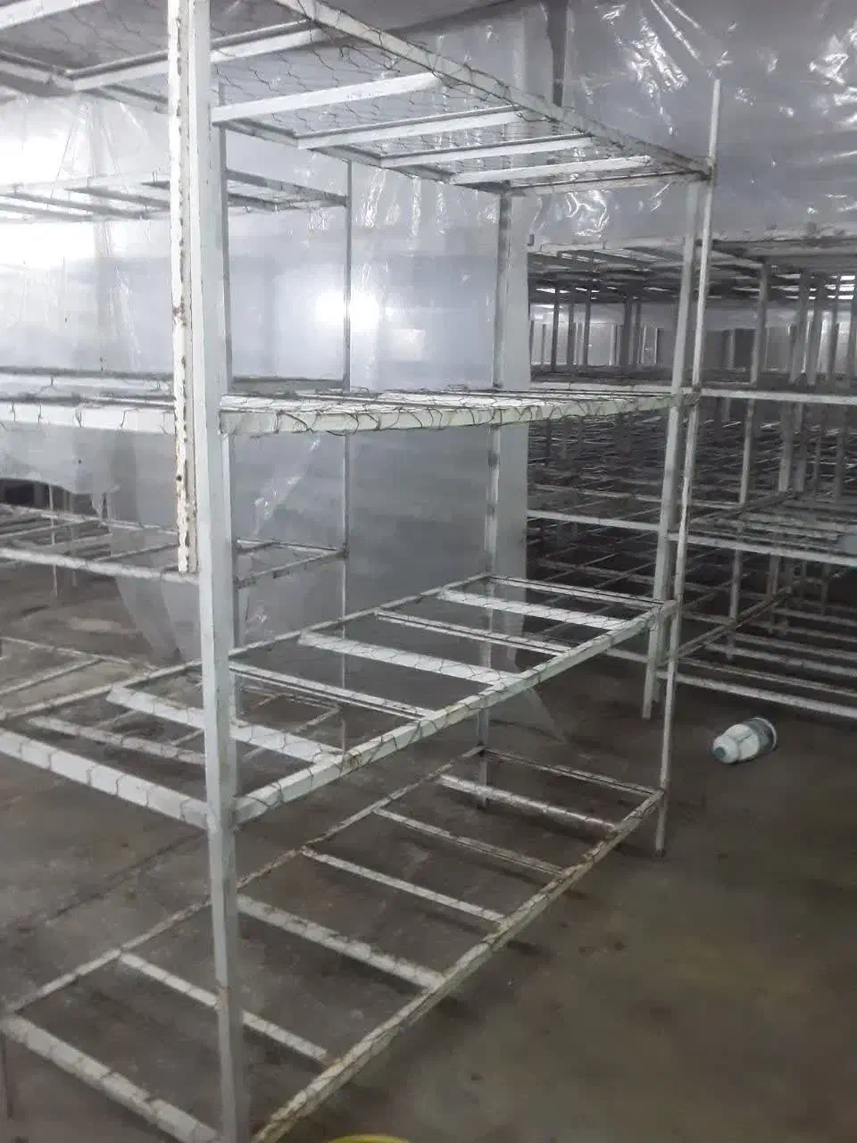 فروش قفسه به قیمت عمده|کتابخانه، شلف، قفسه‌های دیواری|کرمان, |دیوار