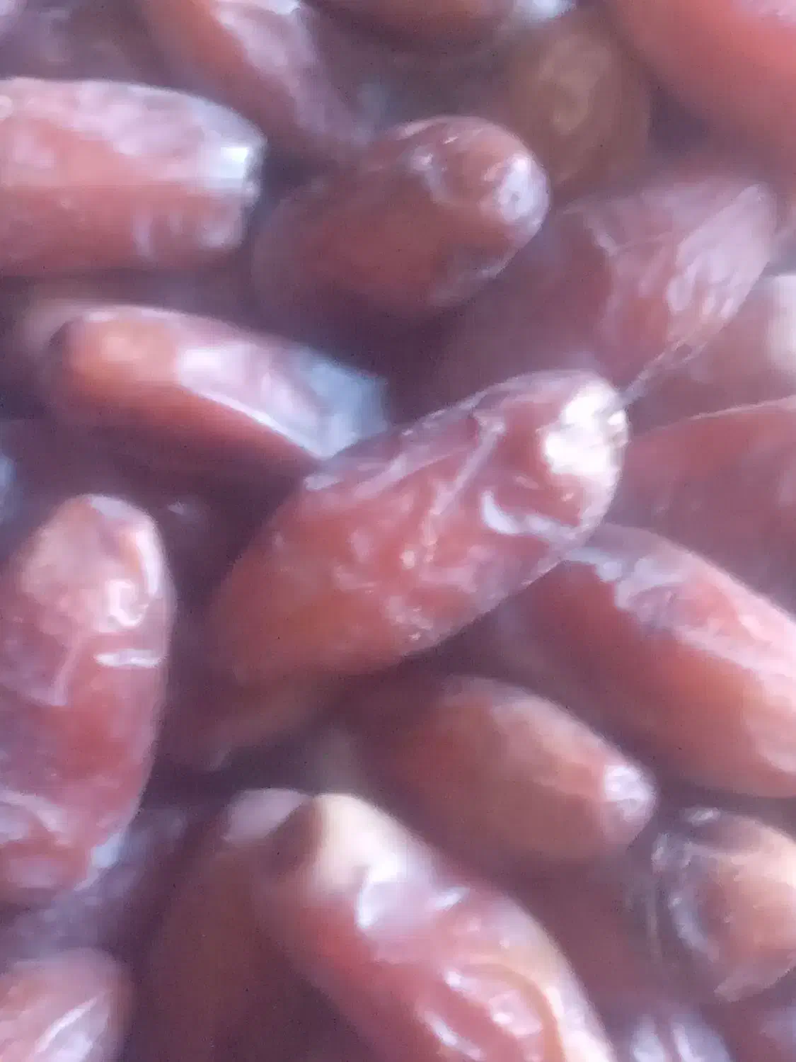 خرما (زردان) ربی)ارم|خوردنی و آشامیدنی|سیب و سوران, |دیوار