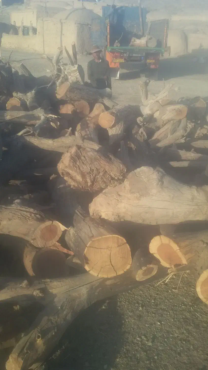 خرید و برش انواع چوب باغی|خدمات باغبانی و درختکاری|قائن, |دیوار