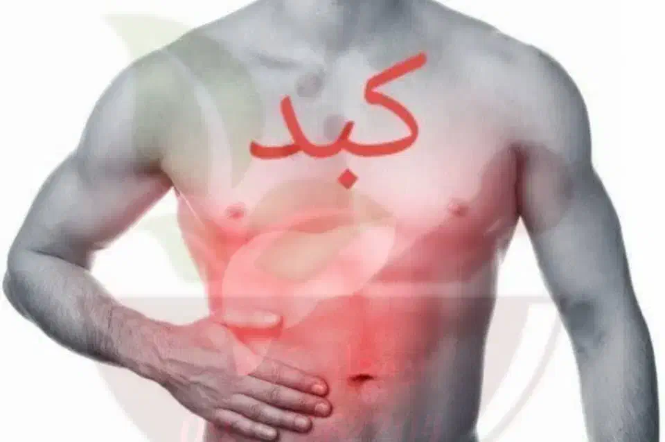 مشاوره طب سنتی رایگان|خدمات آرایشگری و زیبایی|ایرانشهر, |دیوار