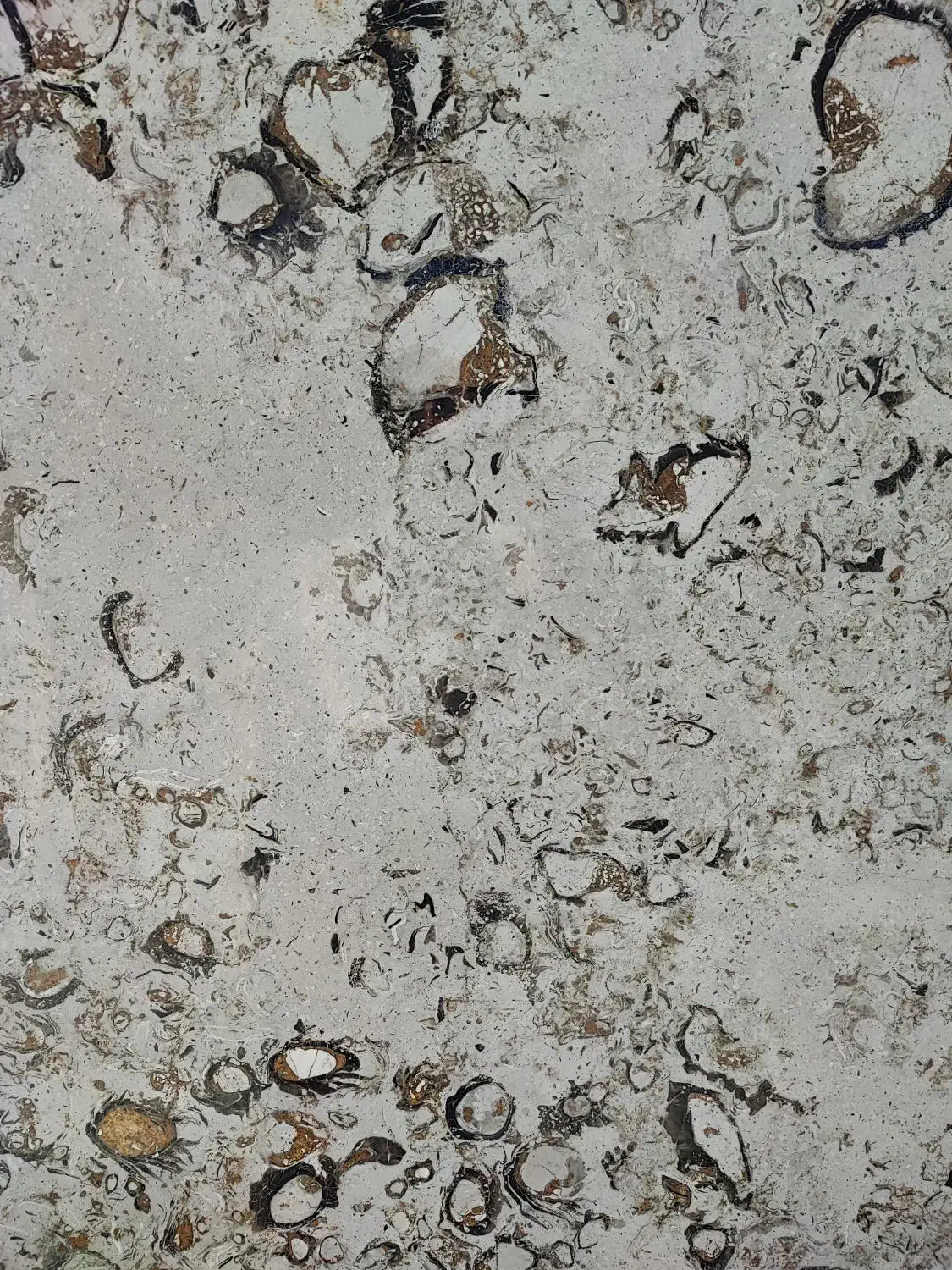 سنگ پله|مصالح و تجهیزات ساختمان|شهرکرد, |دیوار