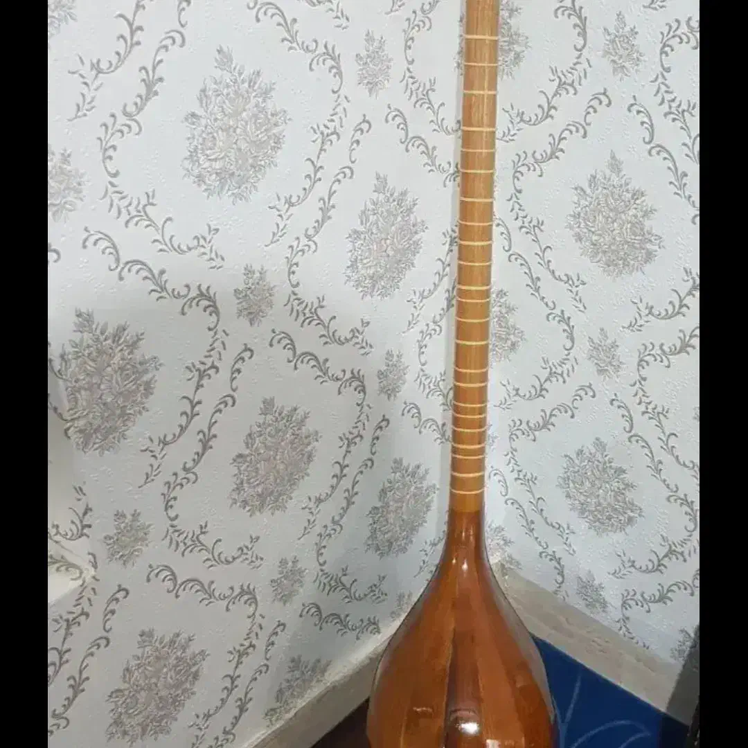 سه تار|سازهای سنتی|شاهدشهر, |دیوار