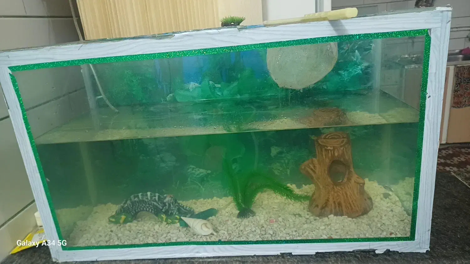 اکواریوم|ماهی|زرند, |دیوار