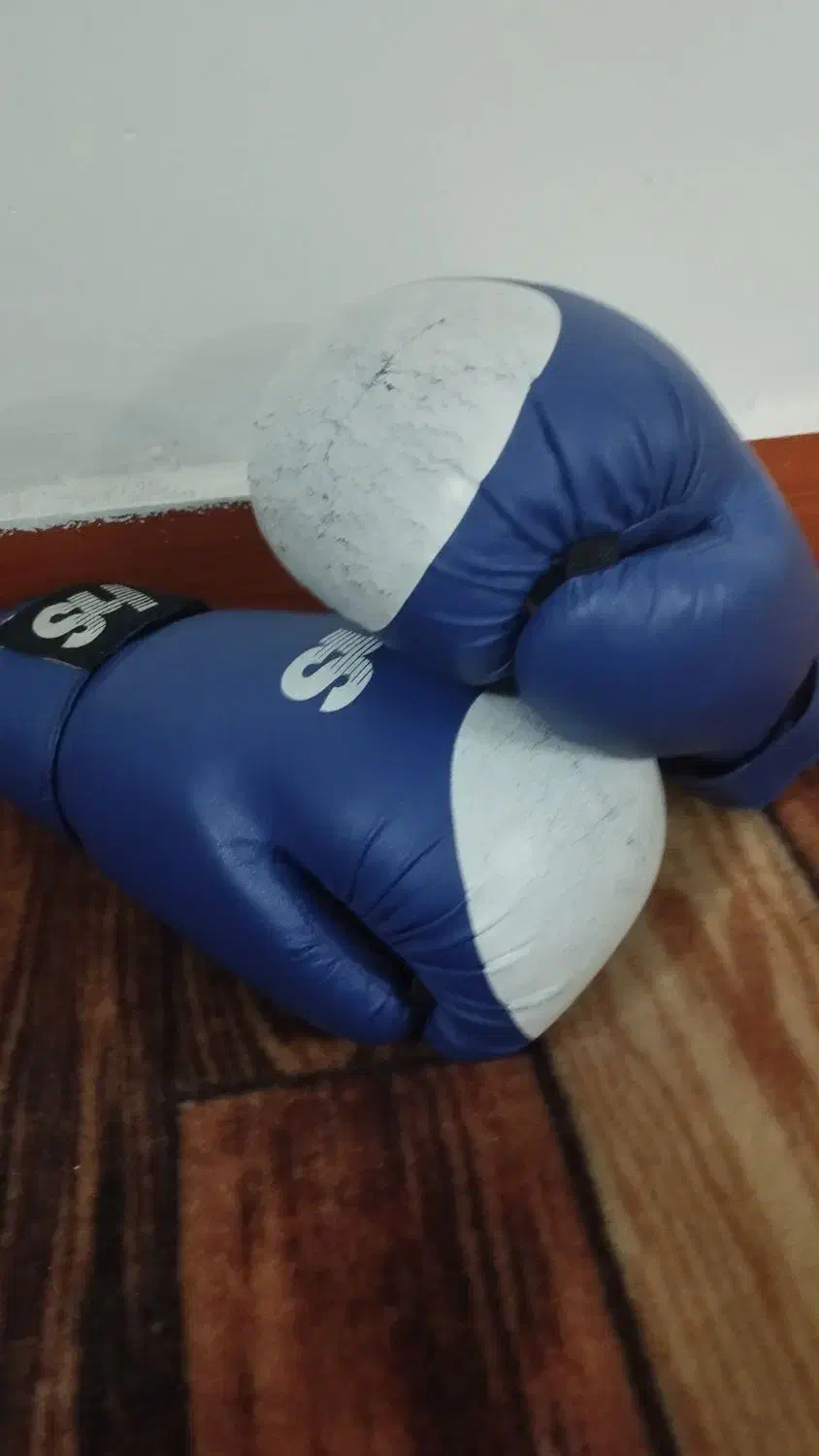 کیسه بکس و دسکش|تجهیزات ورزشی|کرج, حصارک پایین|دیوار