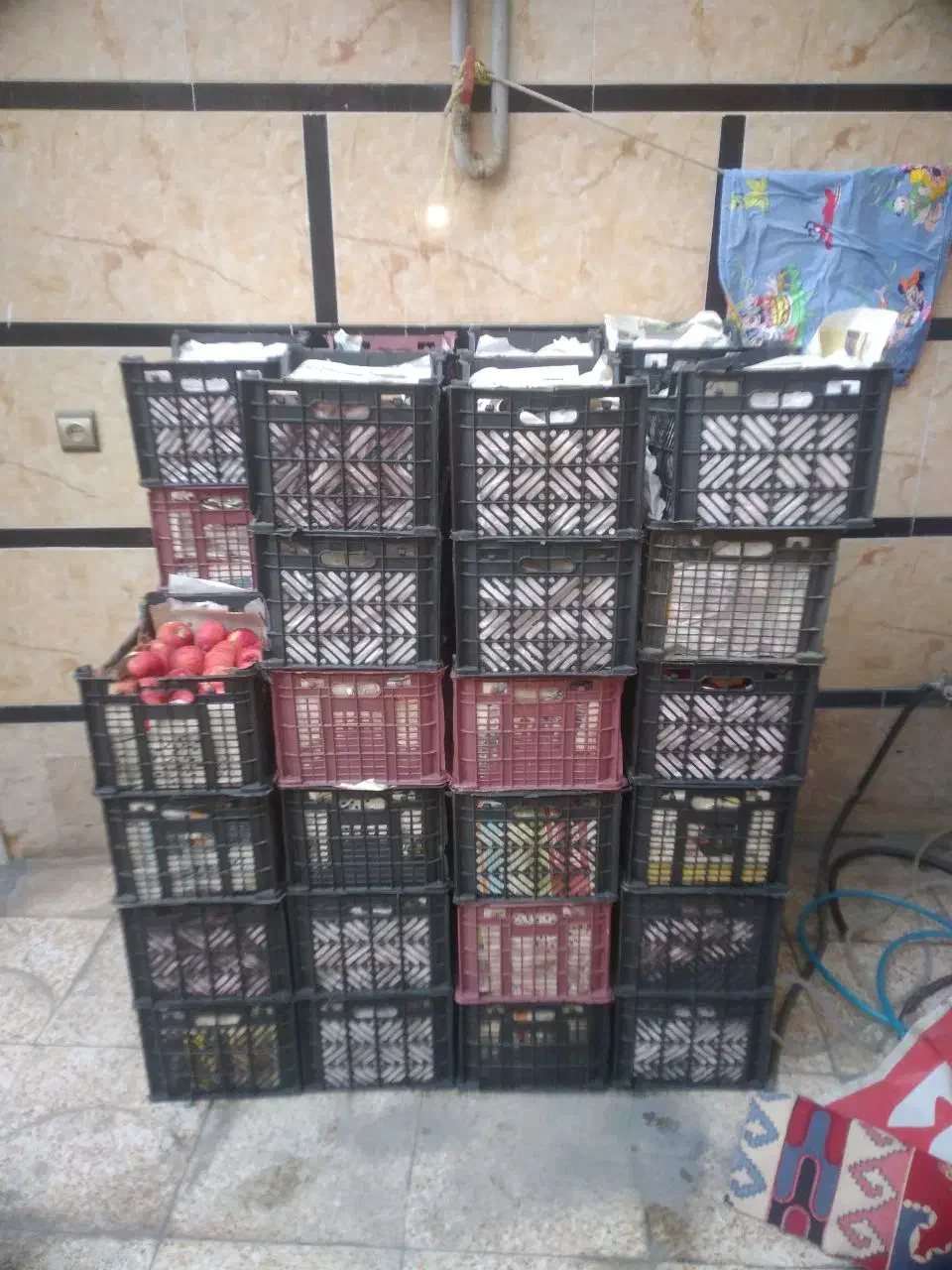 سیب درختی ارگانیک محلی|خوردنی و آشامیدنی|رباط‌کریم, رباط‌کریم|دیوار