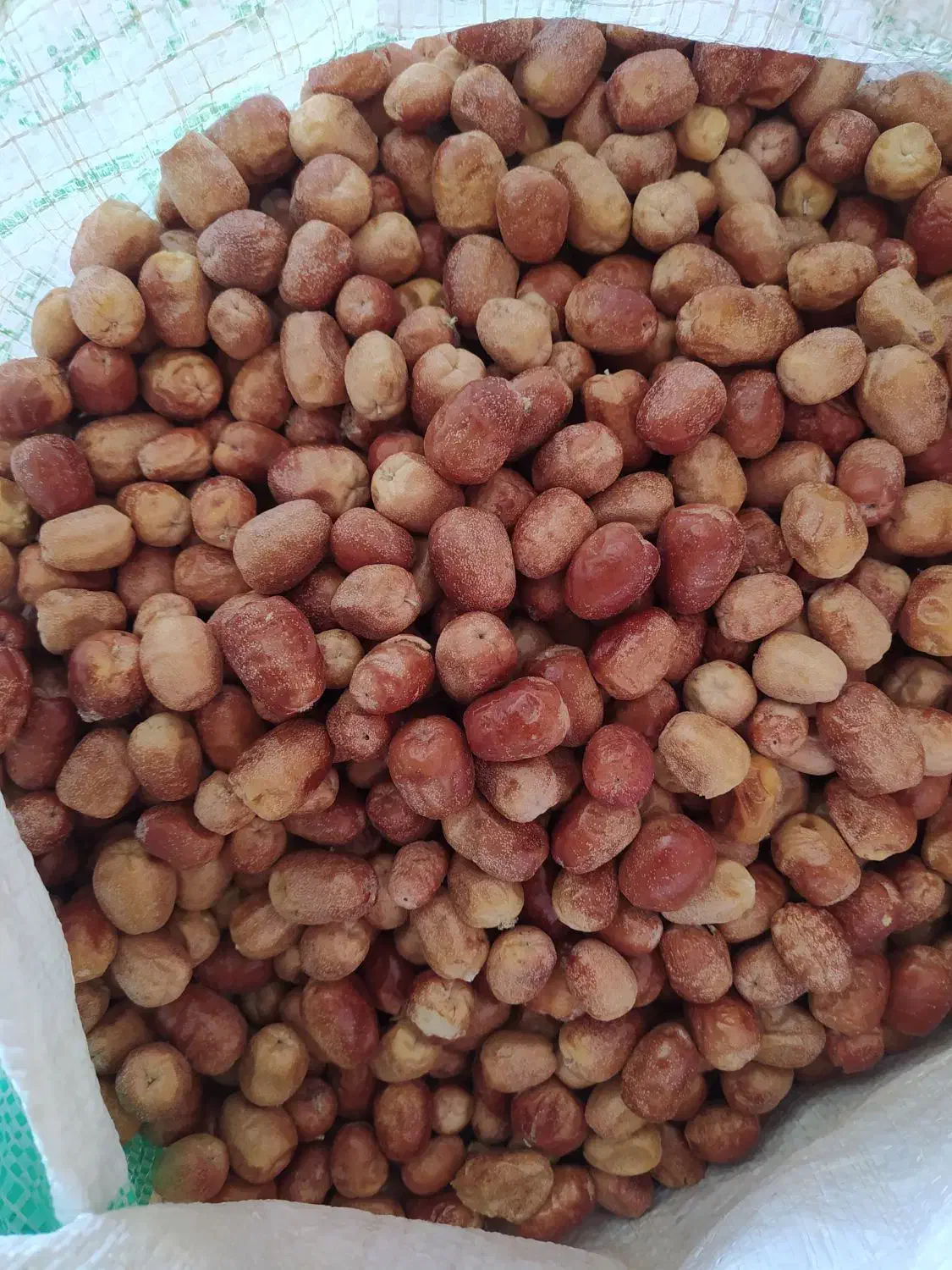 فروش سنجد توسط باغدار مستقیم|خوردنی و آشامیدنی|بسطام, |دیوار