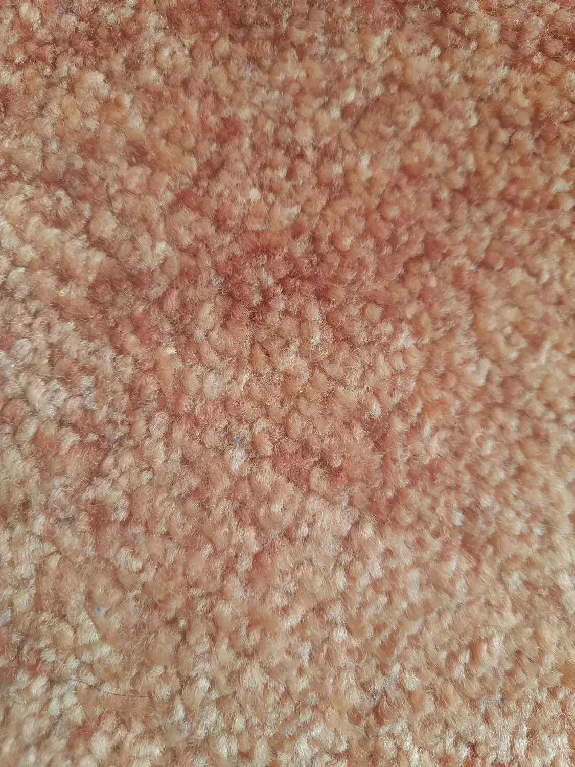 راهنمایی|فعالیت داوطلبانه|بروجرد, |دیوار