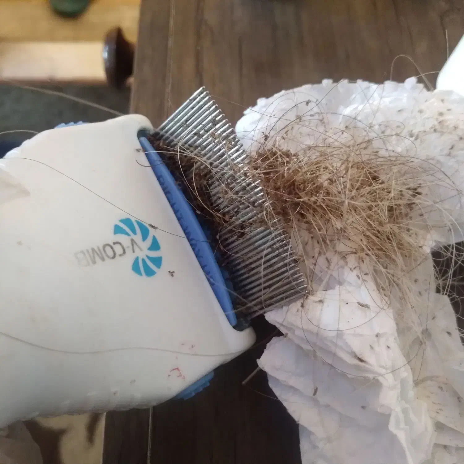 درمان رشک و شپش تضمینی|خدمات آرایشگری و زیبایی|قرچک, زیبا شهر|دیوار