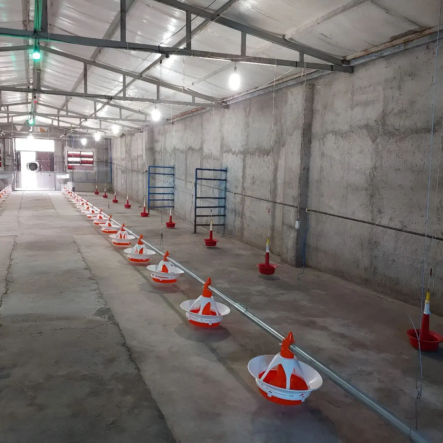 تجهیزات پرورش (بوقلمون)|لوازم جانبی حیوانات|میانه, |دیوار