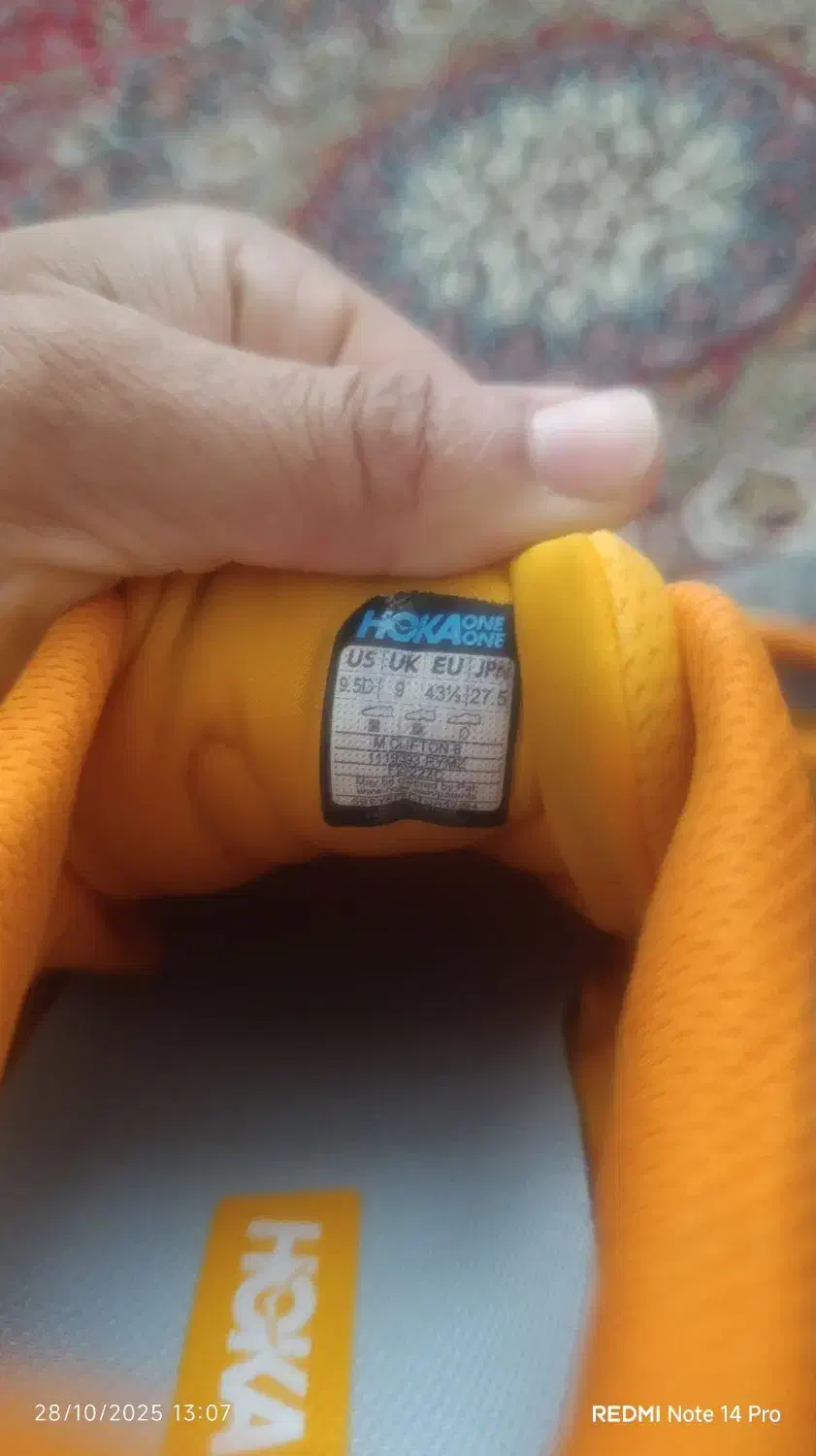 کفش|کیف، کفش، کمربند|نورآباد, |دیوار