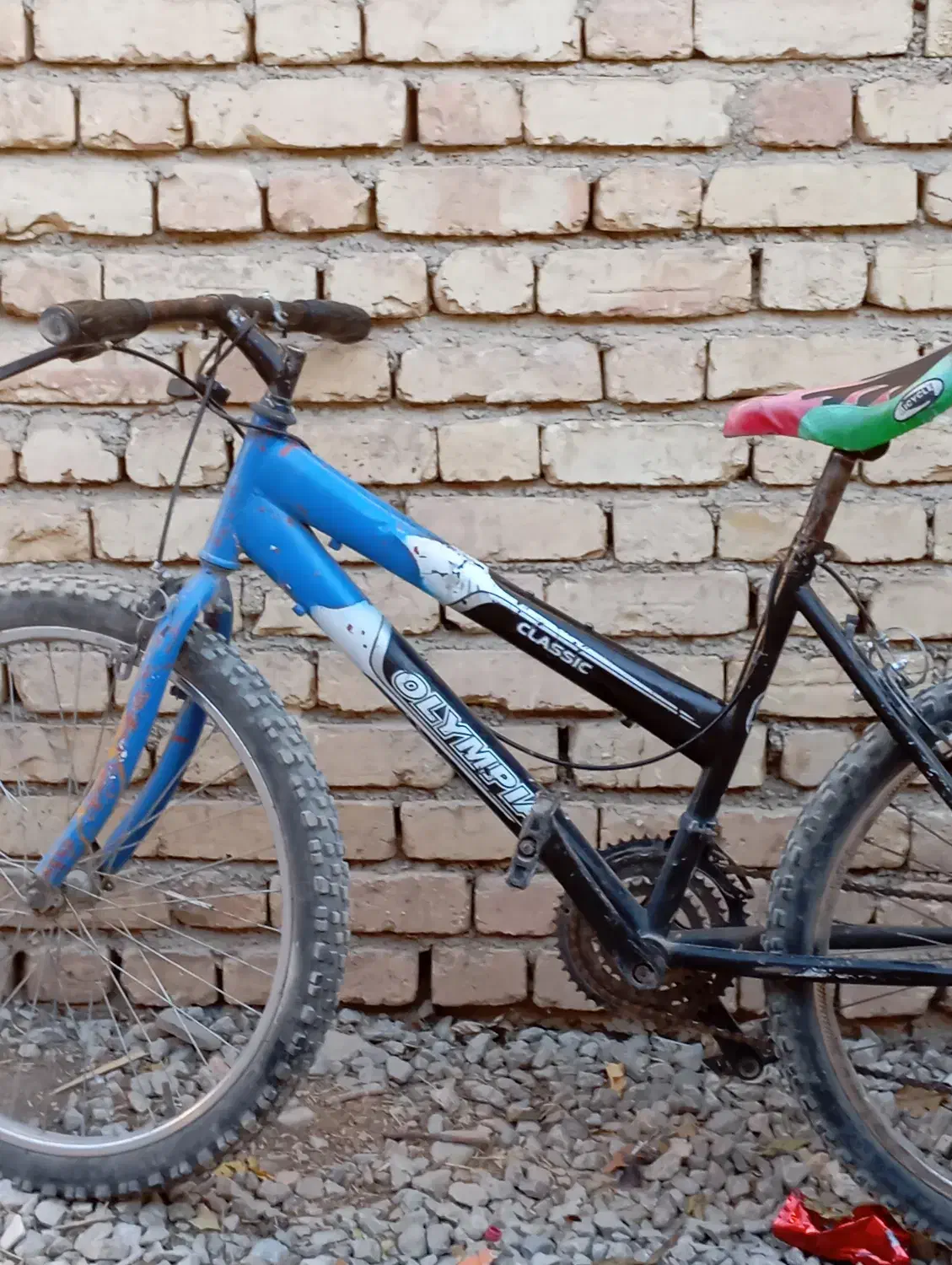 چند  تا مرغ ویک دوچرخه ویک بوقلمون|حیوانات مزرعه|فارسان, |دیوار