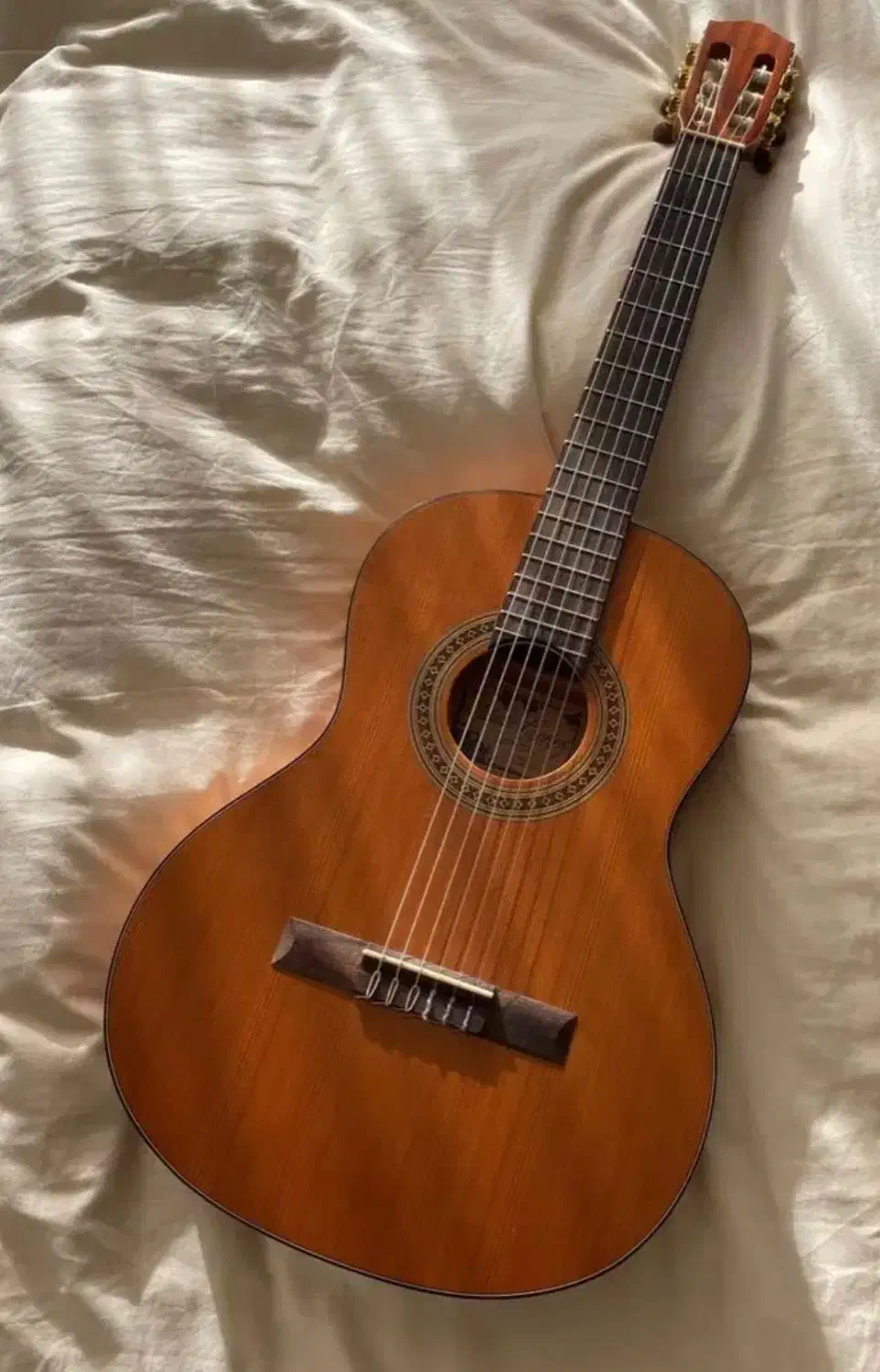 دو عدد گیتار دیاموند|گیتار، بیس، امپلیفایر|یزد, |دیوار