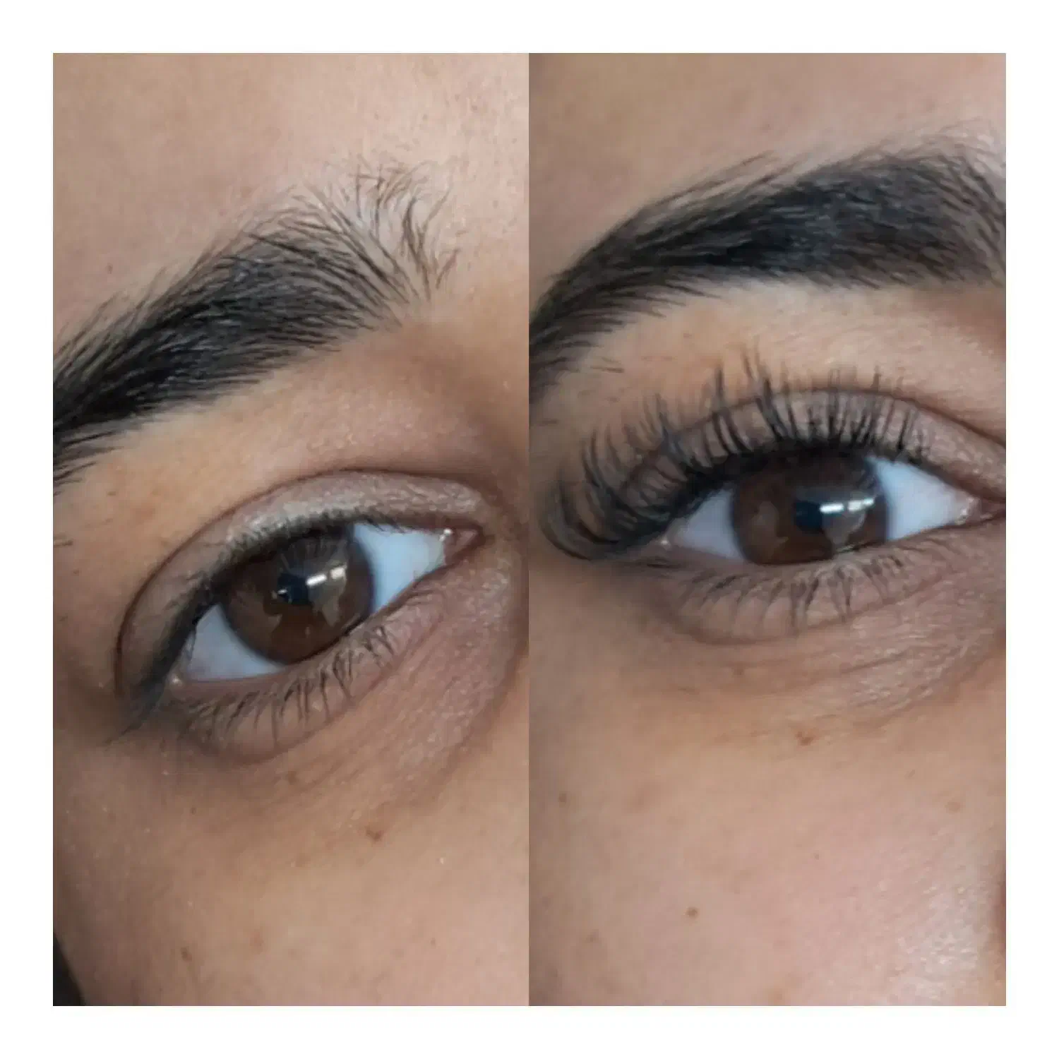 اکستنشن مژه با قیمت استثنایی|خدمات آرایشگری و زیبایی|ساری, |دیوار