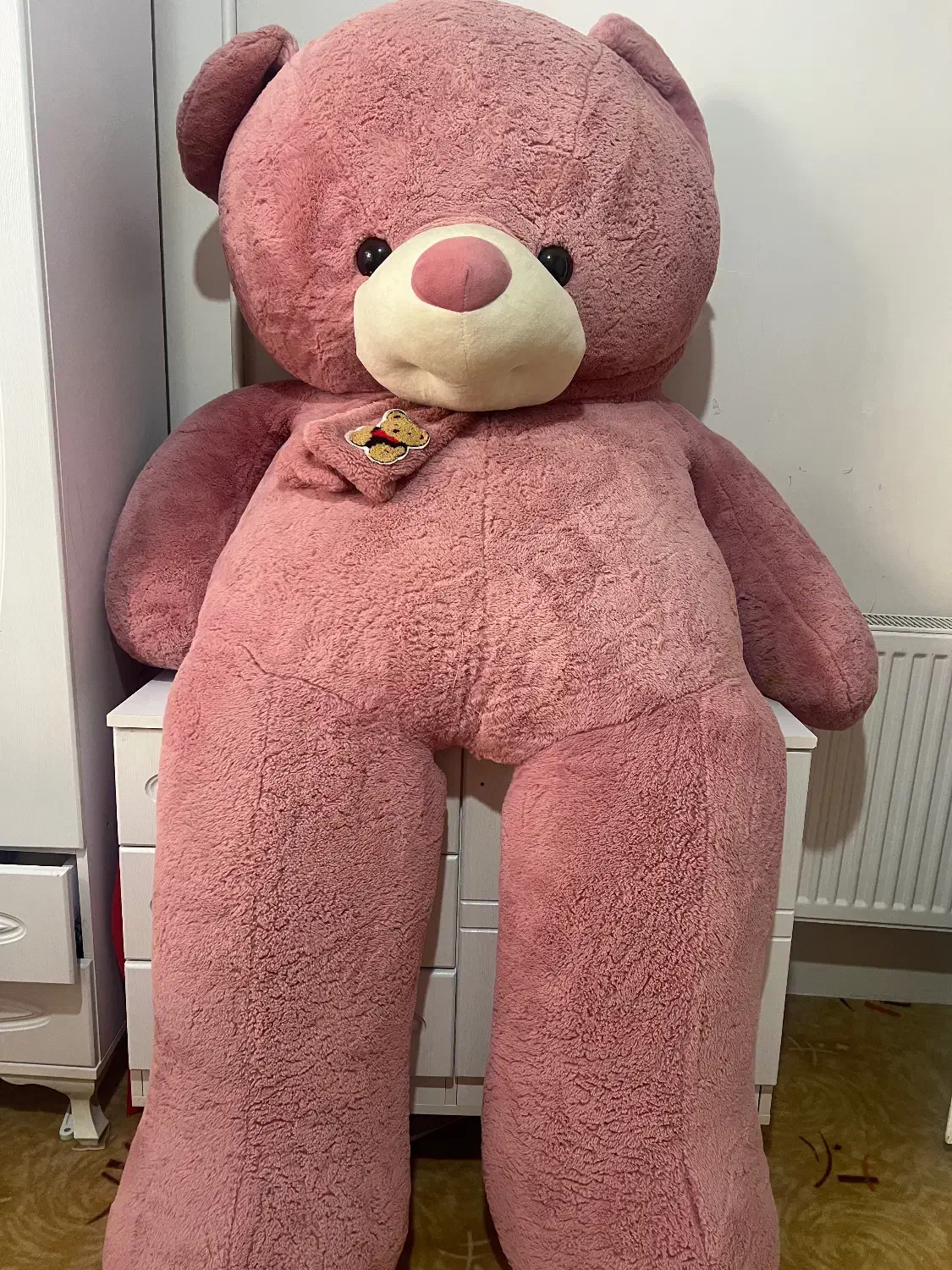 عروسک بزرگ خرس|اسباببازی بچه|لاهیجان, قیام|دیوار