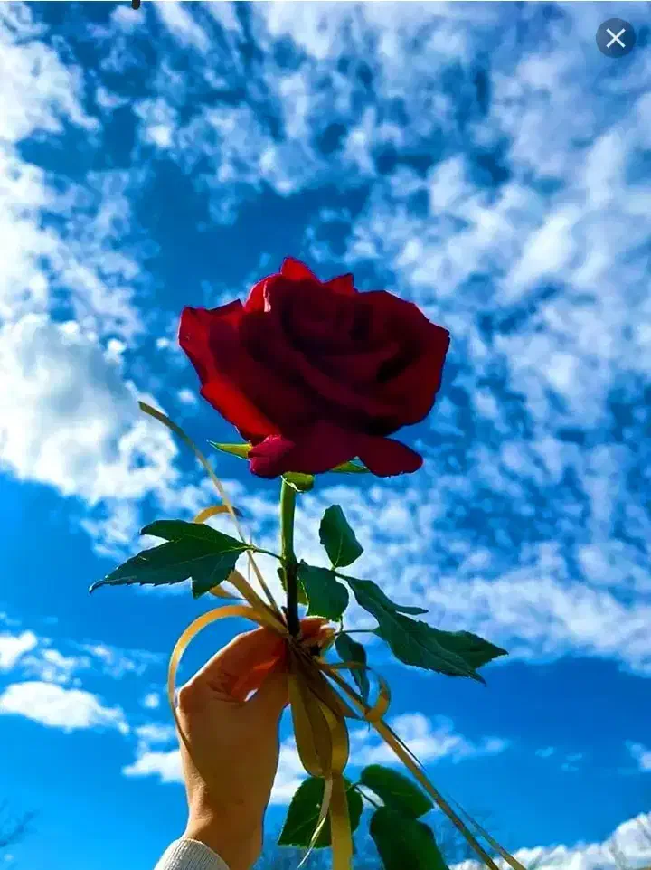 ملی گلد وارد کردن کد دعوتMGh6nwdkcnKZ|کارت هدیه و تخفیف|یاسوج, |دیوار