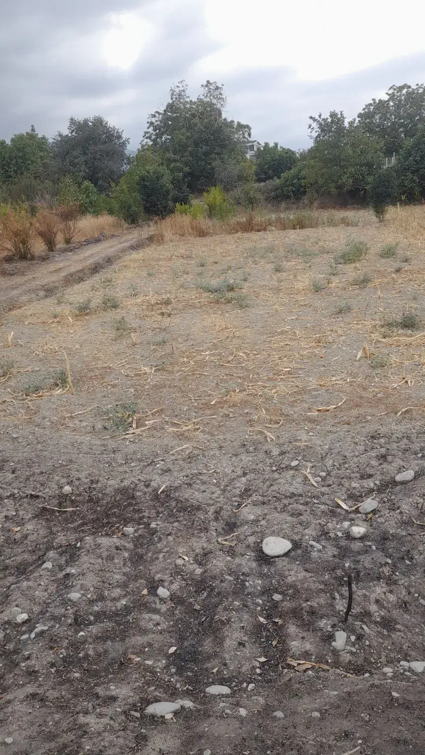 یک قطعه زمین  فروشی|فروش زمین و ملک کلنگی|نوکنده, |دیوار