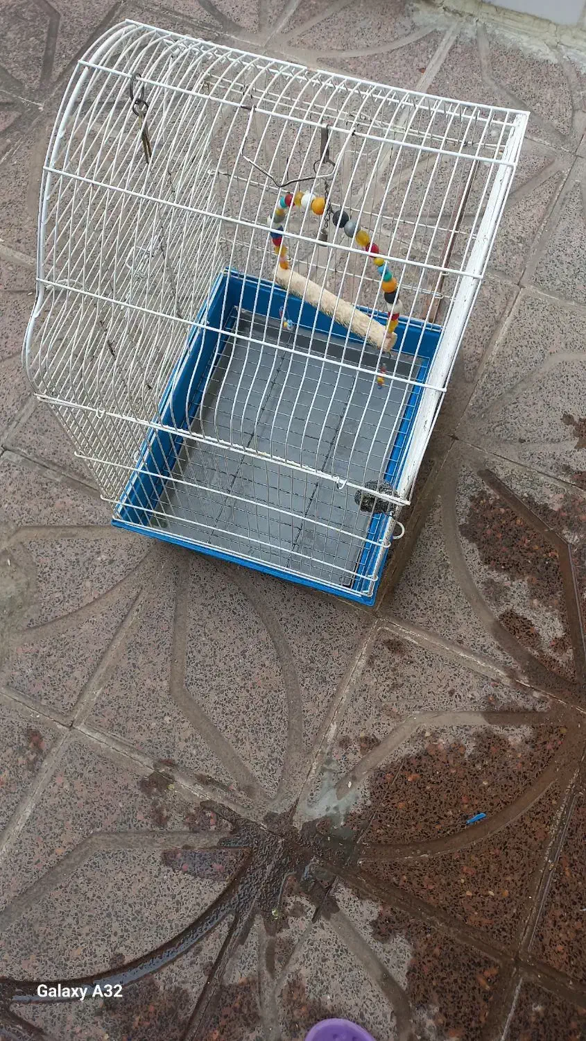 قفس سفید رنگ|لوازم جانبی حیوانات|پارسآباد, |دیوار