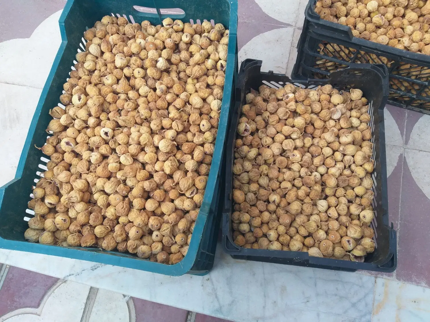 انجیر|خوردنی و آشامیدنی|نی‌ریز, |دیوار
