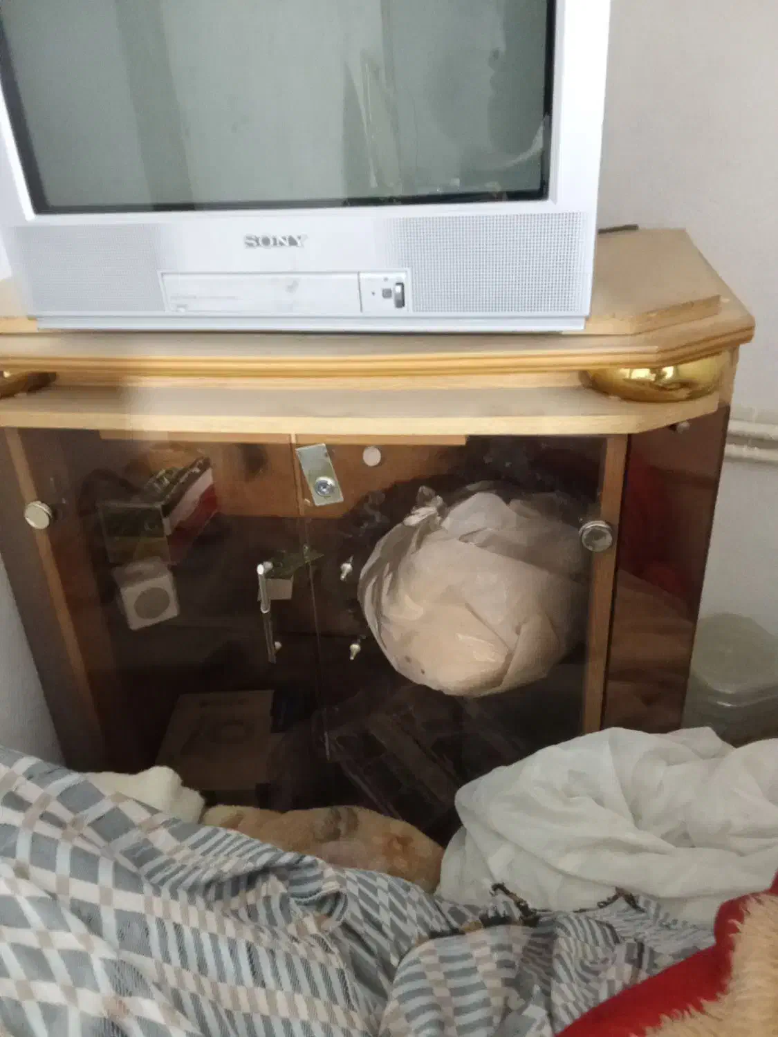 تلویزیون ۲۱|تلویزیون و پروژکتور|دامغان, |دیوار