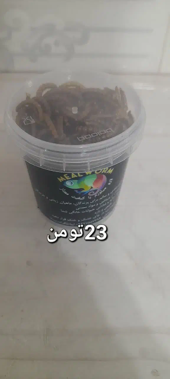 میلورم در بیرجند با قیمت مناسب|خزنده|تهران, خلیج فارس|دیوار