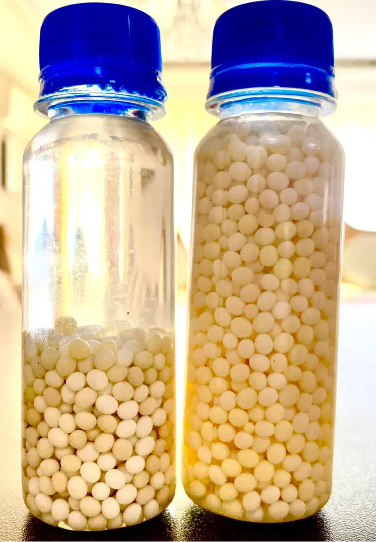 خاویار های تازه حلزون|آرایشی، بهداشتی، درمانی|همدان, |دیوار