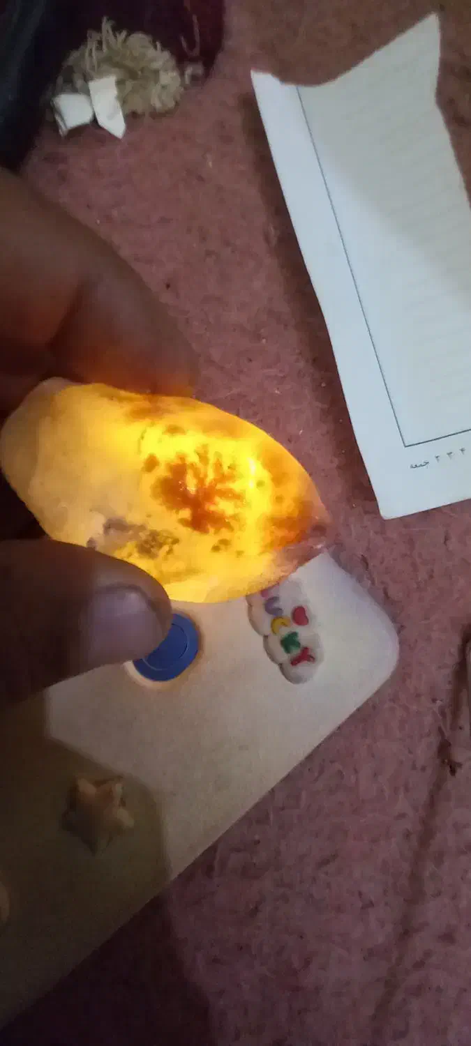 سنگ شجر.درختی|کلکسیون اشیاء عتیقه|بیرجند, |دیوار