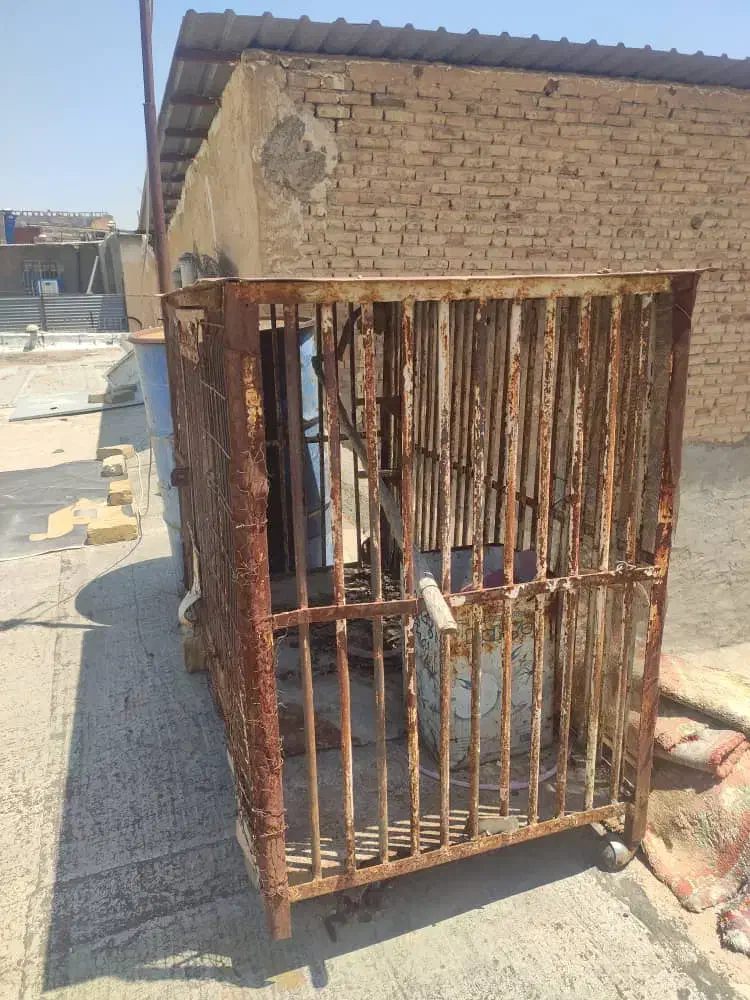 قفس|لوازم جانبی حیوانات|شیراز, پانصد دستگاه ارتش|دیوار