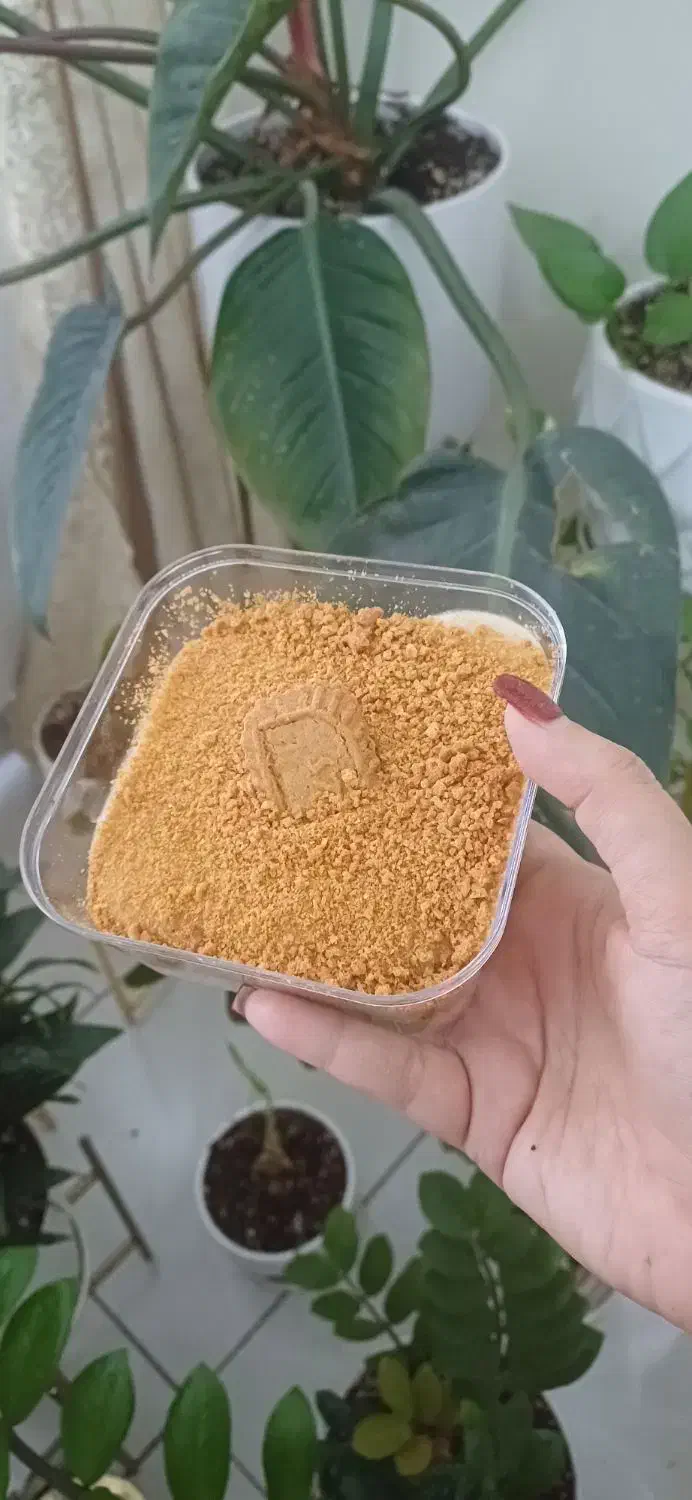 خوراکی|خوردنی و آشامیدنی|تهران, تهرانویلا|دیوار