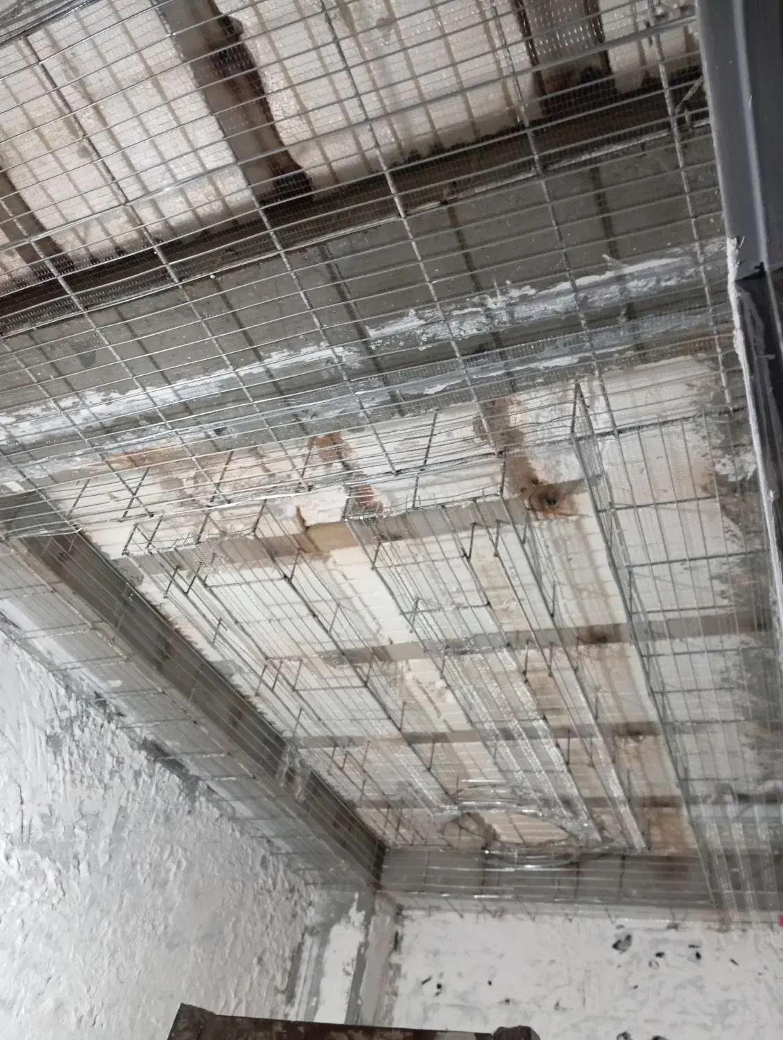 رابیتس کاری یا راویز ساختمان میخکوب جوشکاری|خدمات پیشه و مهارت|دورود, |دیوار