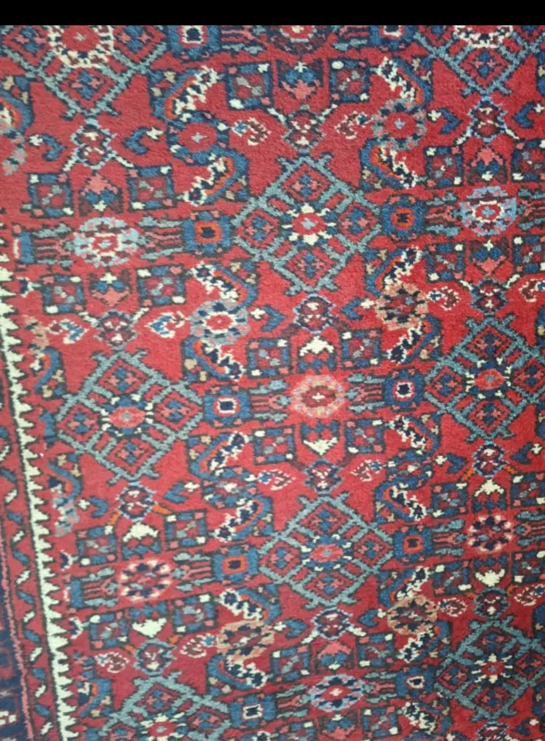 فرش|فرش|تهران, زعفرانیه|دیوار