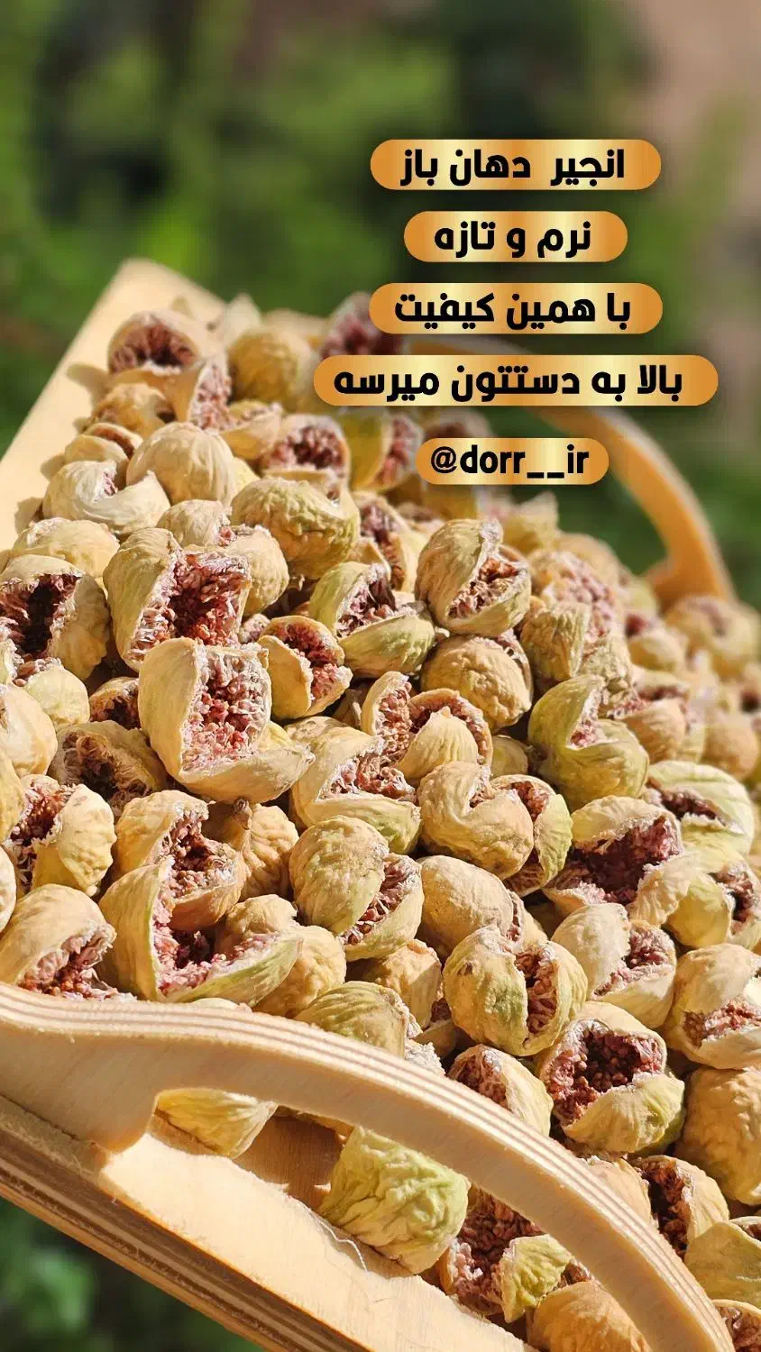 خشکبار انجیر|خوردنی و آشامیدنی|شیراز, طلاب|دیوار
