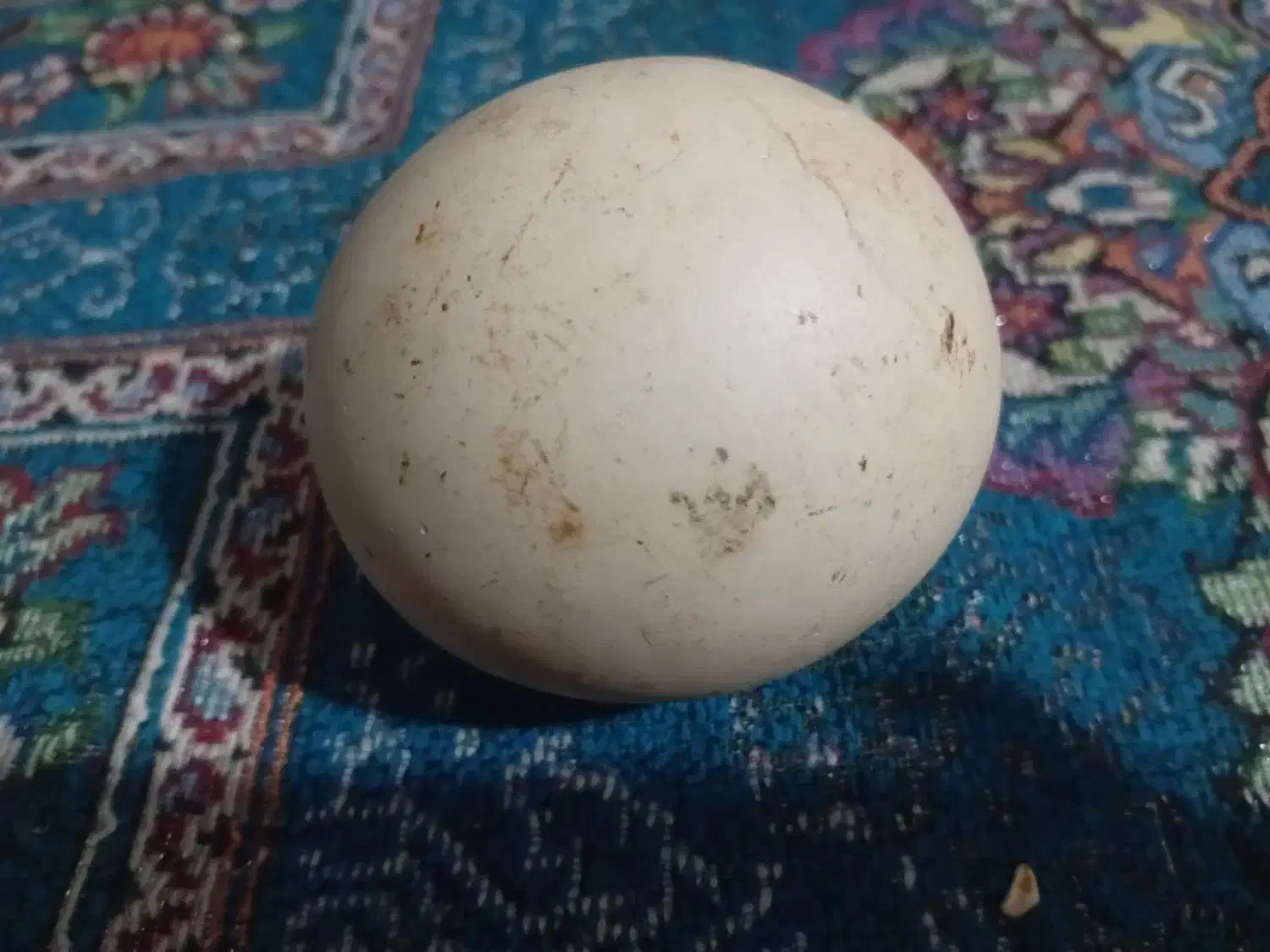 سنگ. آسیاب بزرگ قیمتی|جواهرات|سبزوار, کهنه آب|دیوار