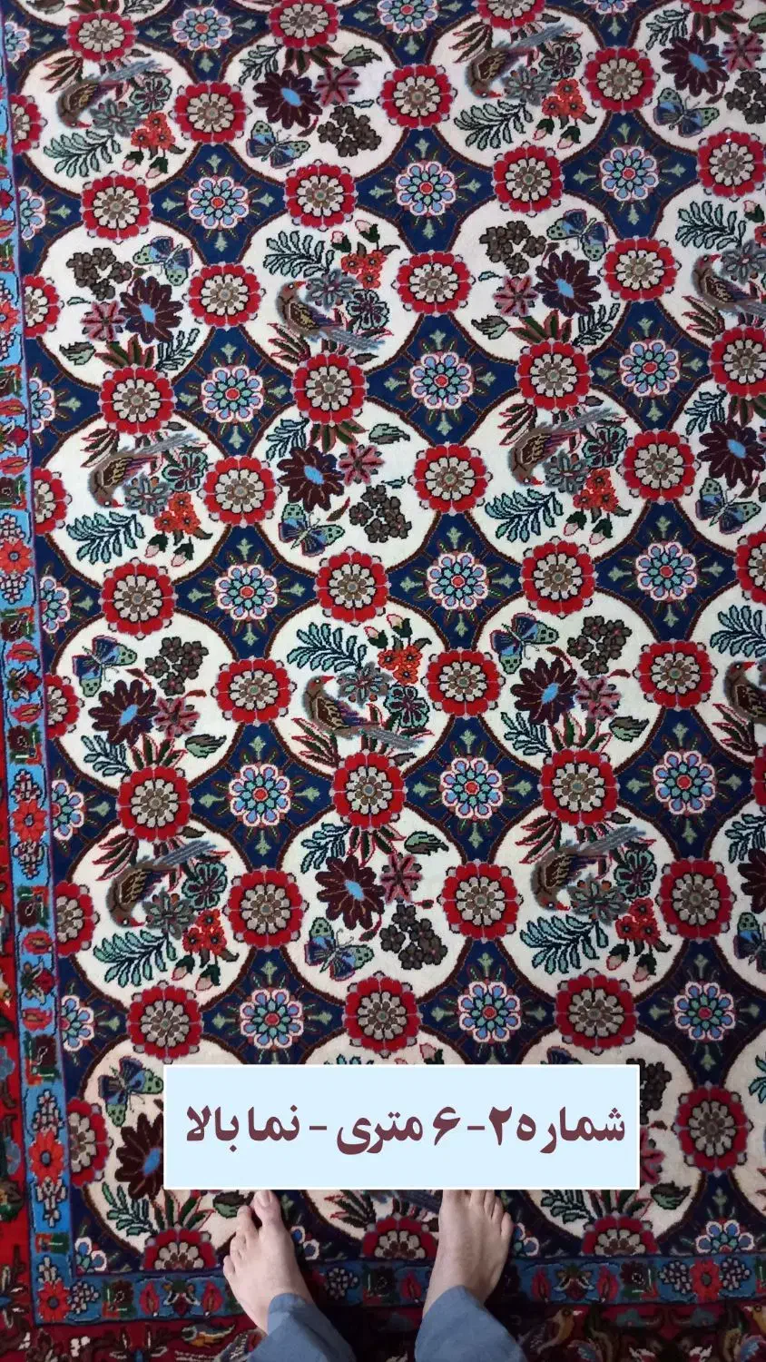 مقداری فرش دستبافت خانگی|فرش|تهران, چیتگر جنوبی|دیوار