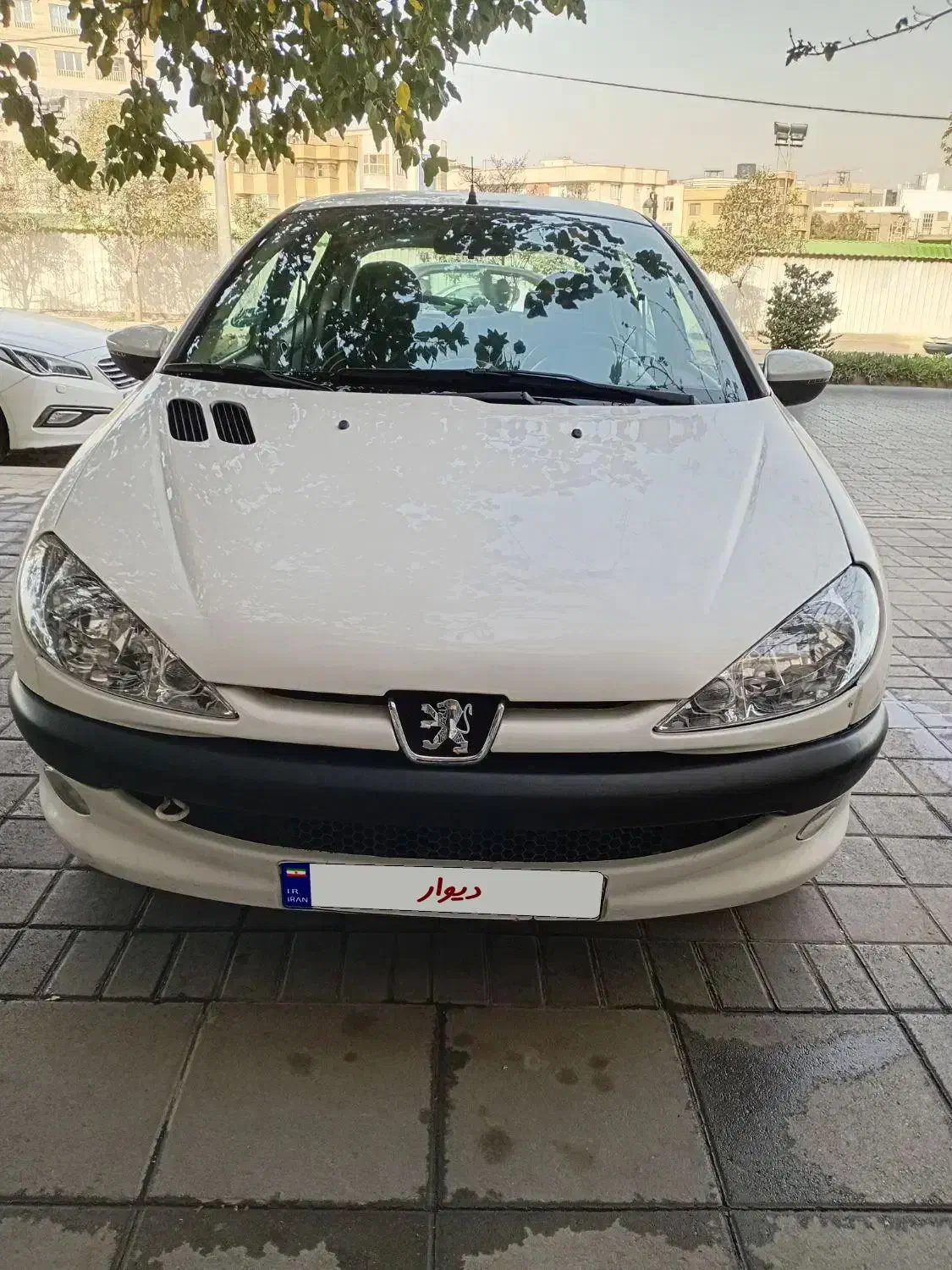 ۲۰۶ مدل ۸۷ درجه یک|خودرو سواری و وانت|مشهد, شریف|دیوار