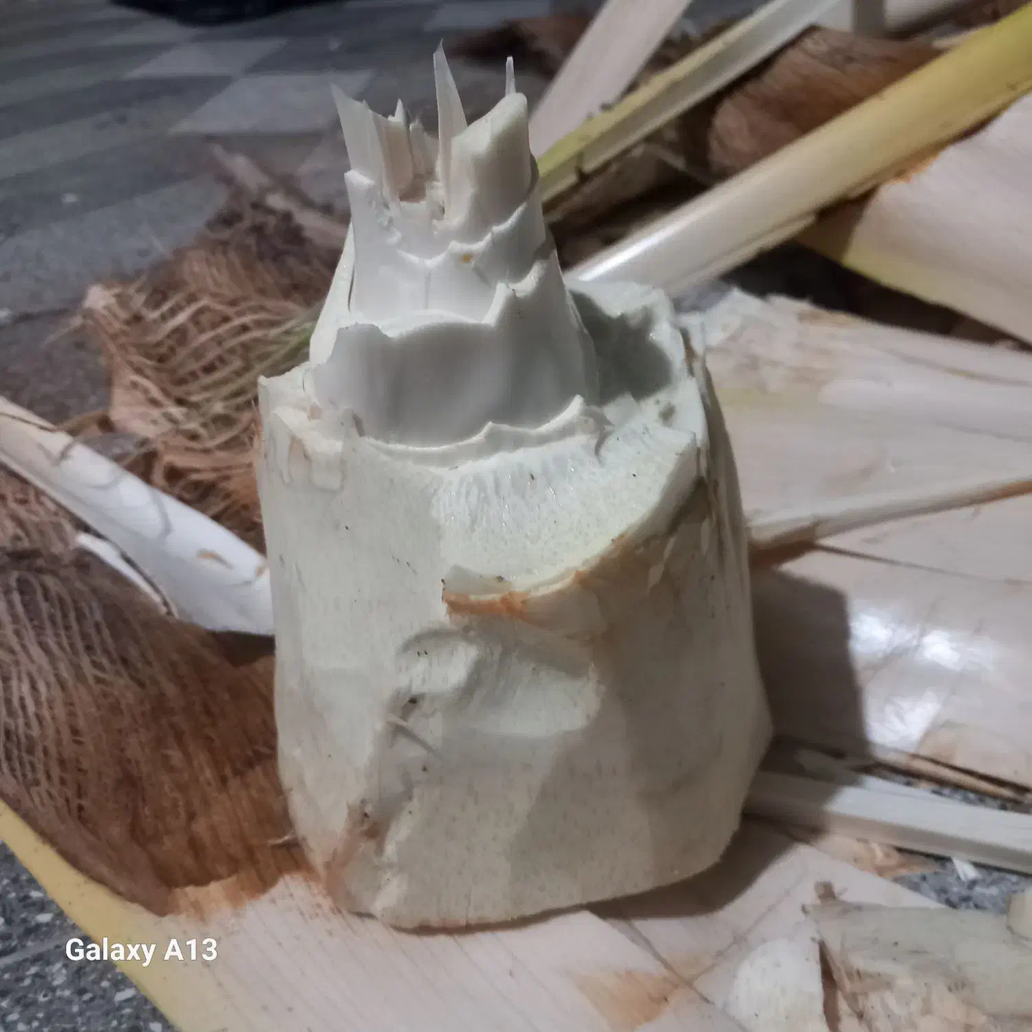 برش نخل رایگان|خدمات باغبانی و درختکاری|بندر ماهشهر, |دیوار