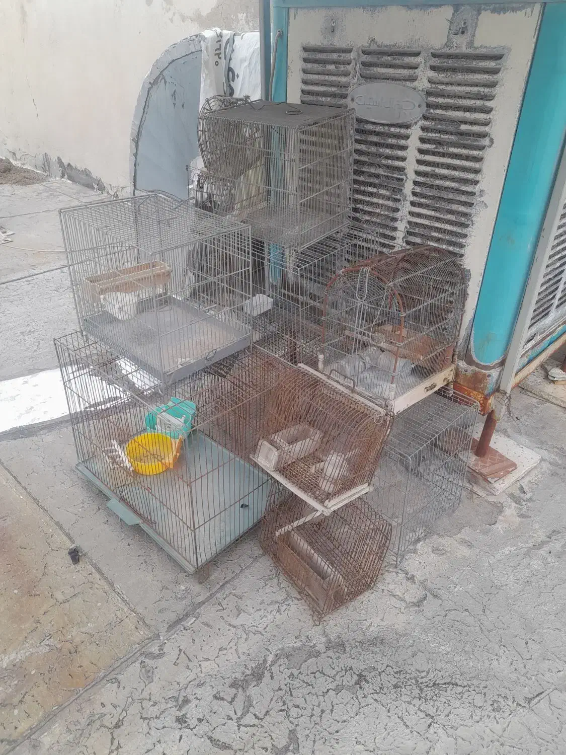 قفس|لوازم جانبی حیوانات|اراک, |دیوار