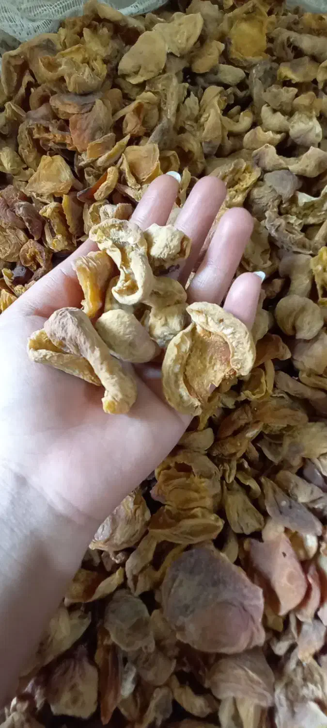 برگه|خوردنی و آشامیدنی|قم, صدوق|دیوار