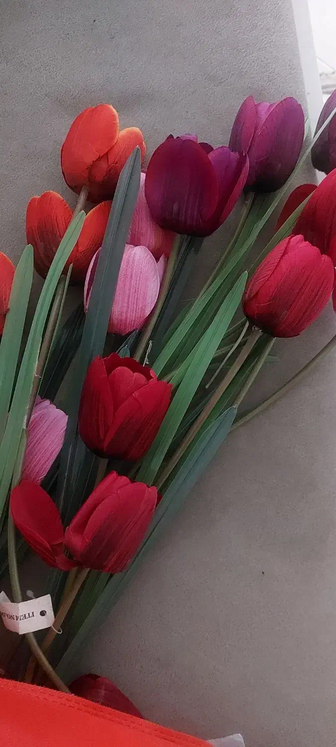 نی تزیینی|گل مصنوعی|مشهد, چهارچشمه|دیوار