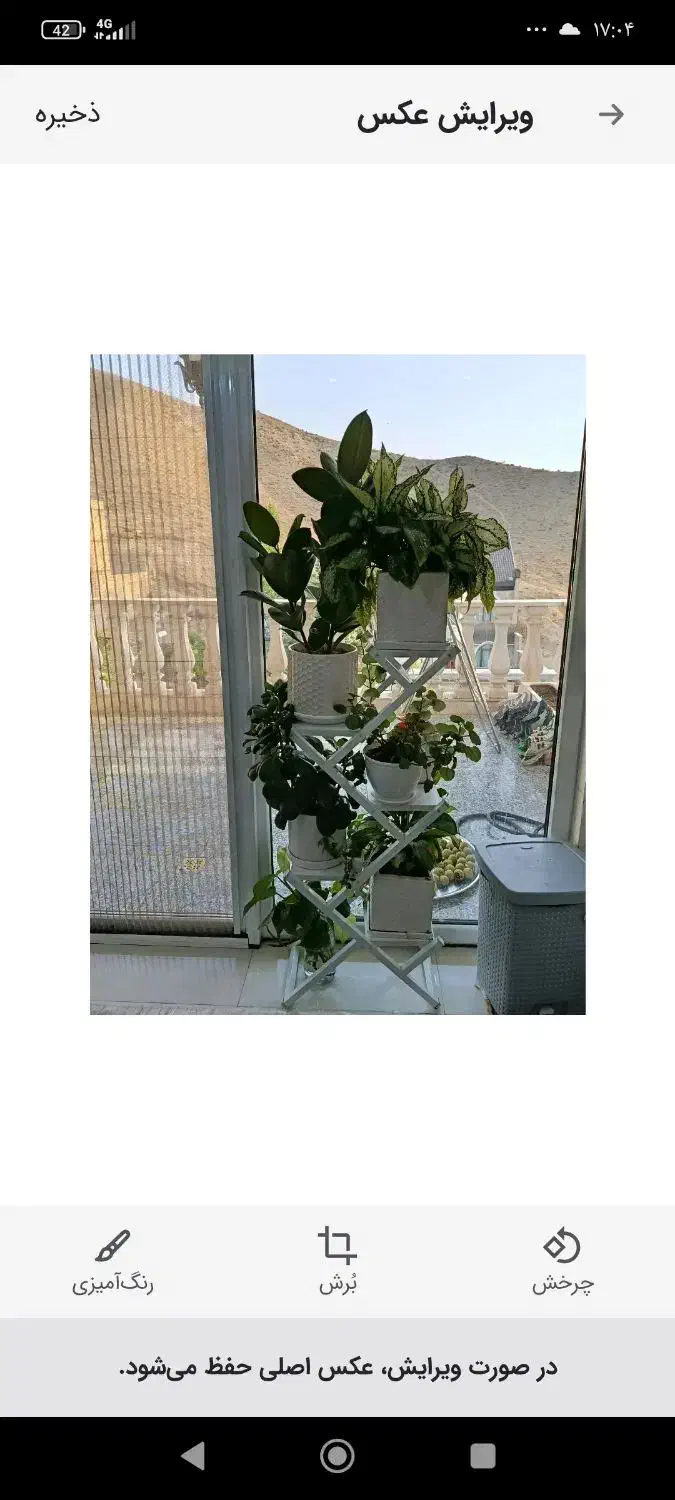 گل و گلدان با استند|گل و گیاه طبیعی|جاجرود, |دیوار