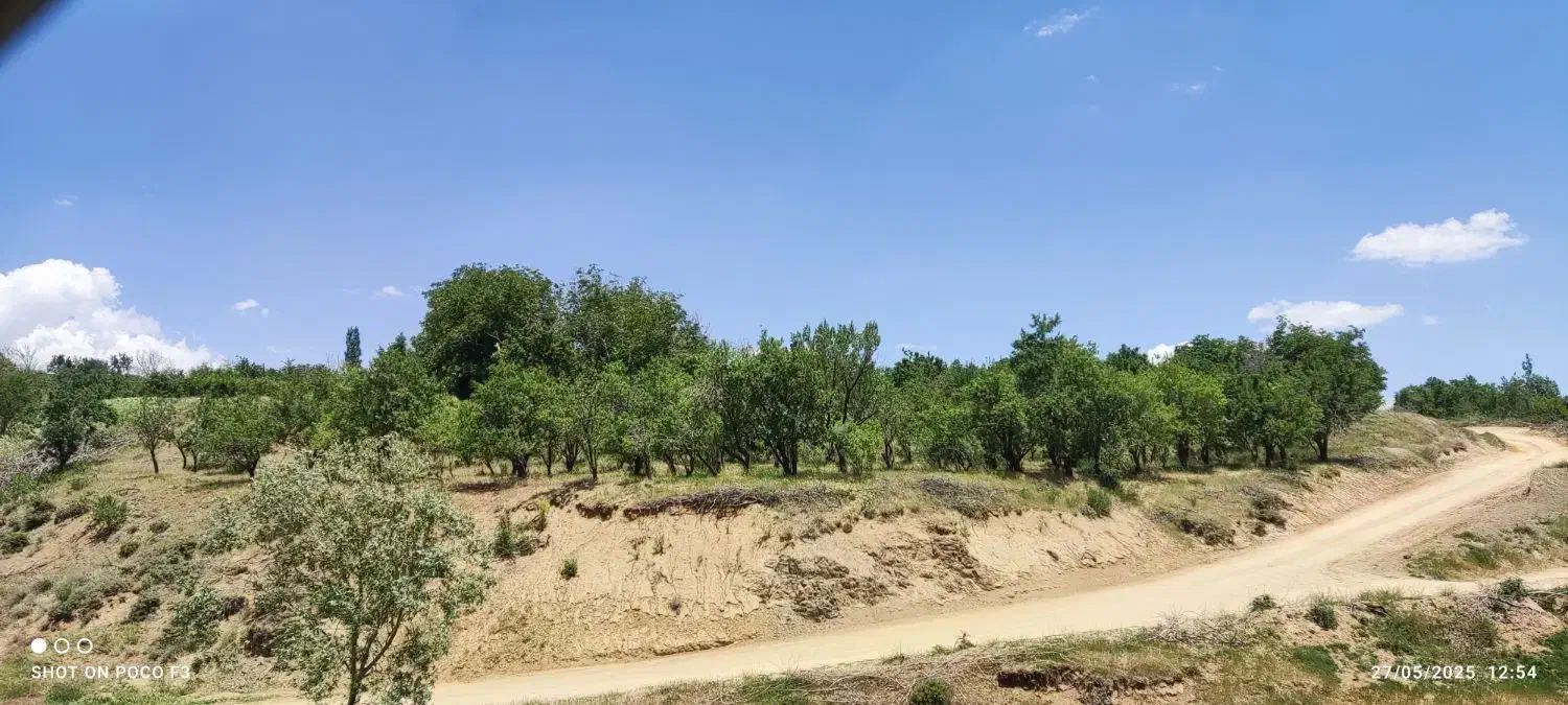 باغ بادم دیم روستای هیراب|فروش دفتر صنعتی، کشاورزی، تجاری|بروجرد, |دیوار