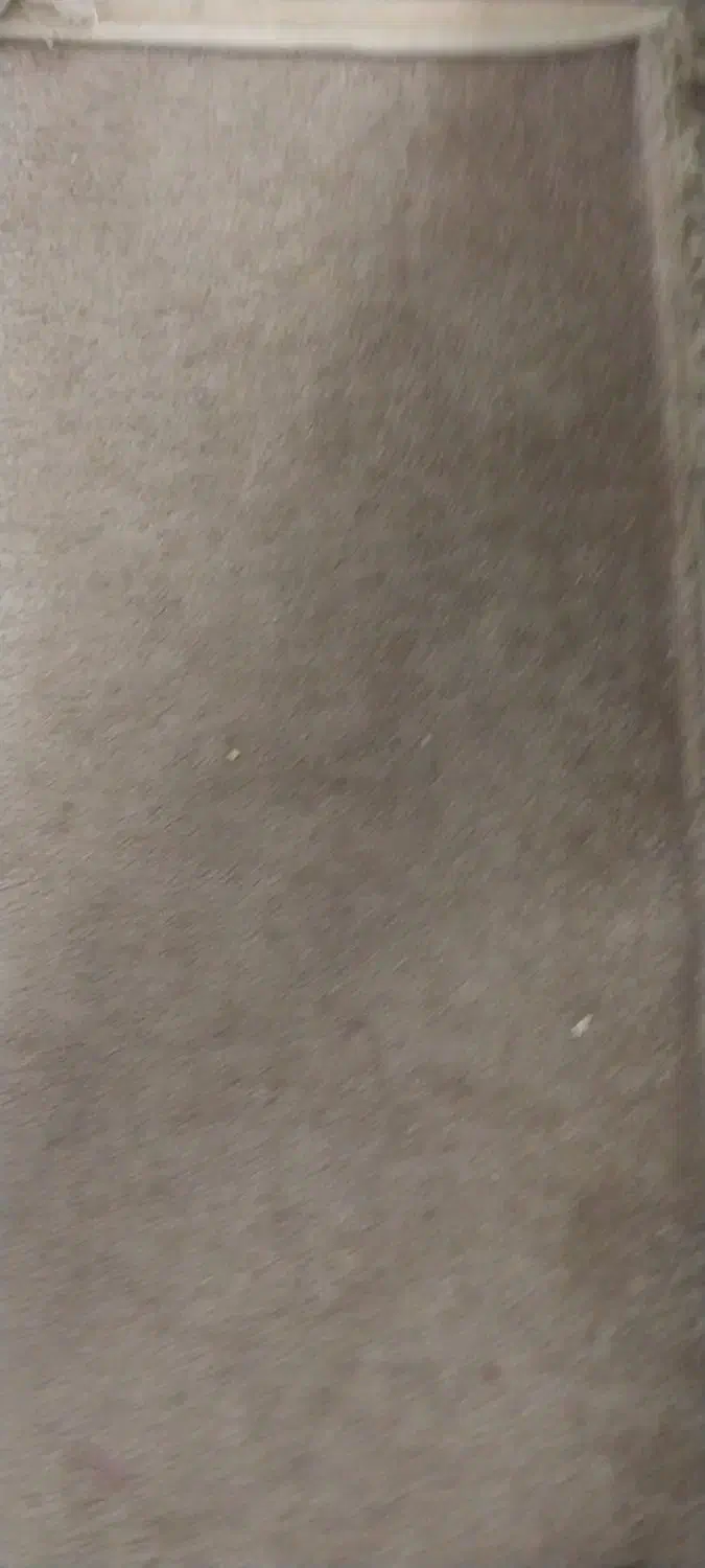 موکت پالاز سالم رنگ خاکی|موکت|قنوات, |دیوار