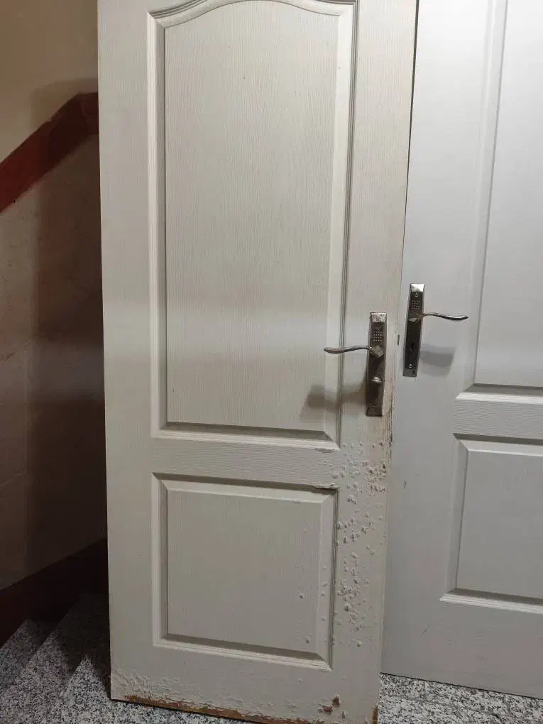 درب چوبی|مصالح و تجهیزات ساختمان|تهران, تسلیحات|دیوار