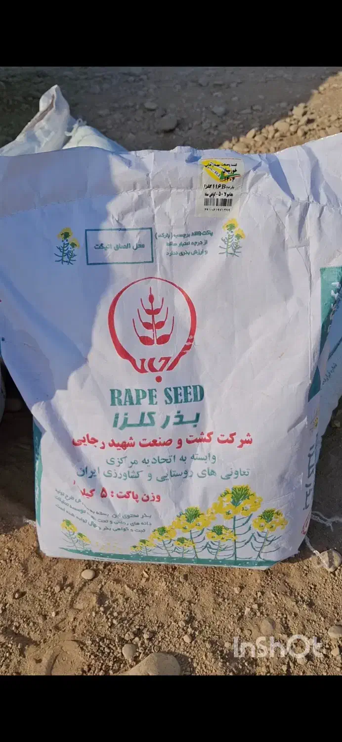 گلزار تاریخ روز ۴۰۴|گل و گیاه طبیعی|شوش, |دیوار