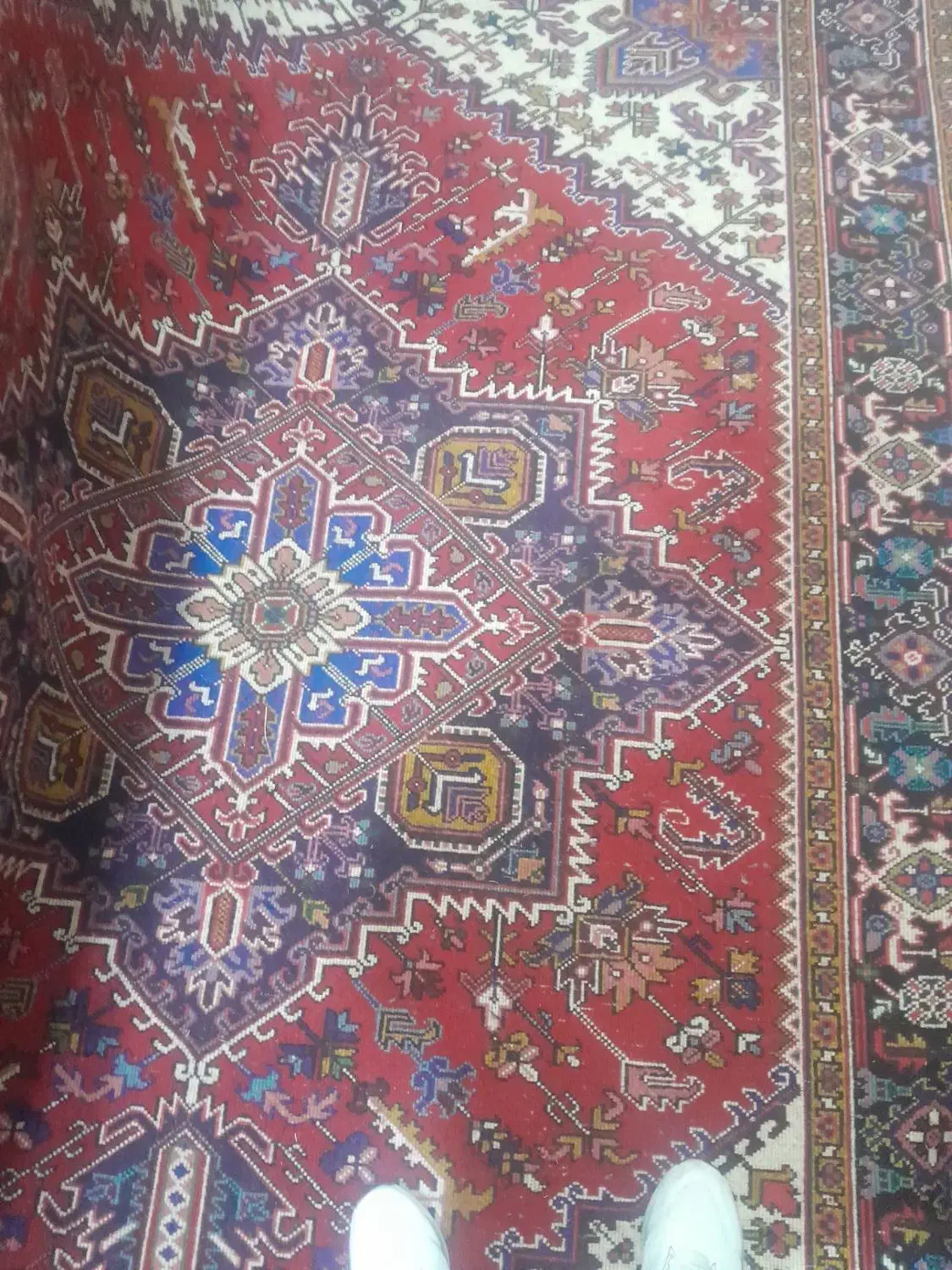 فروش فوری یک جفت فرش دستبافت ۶متری هریس|فرش|اهر, |دیوار